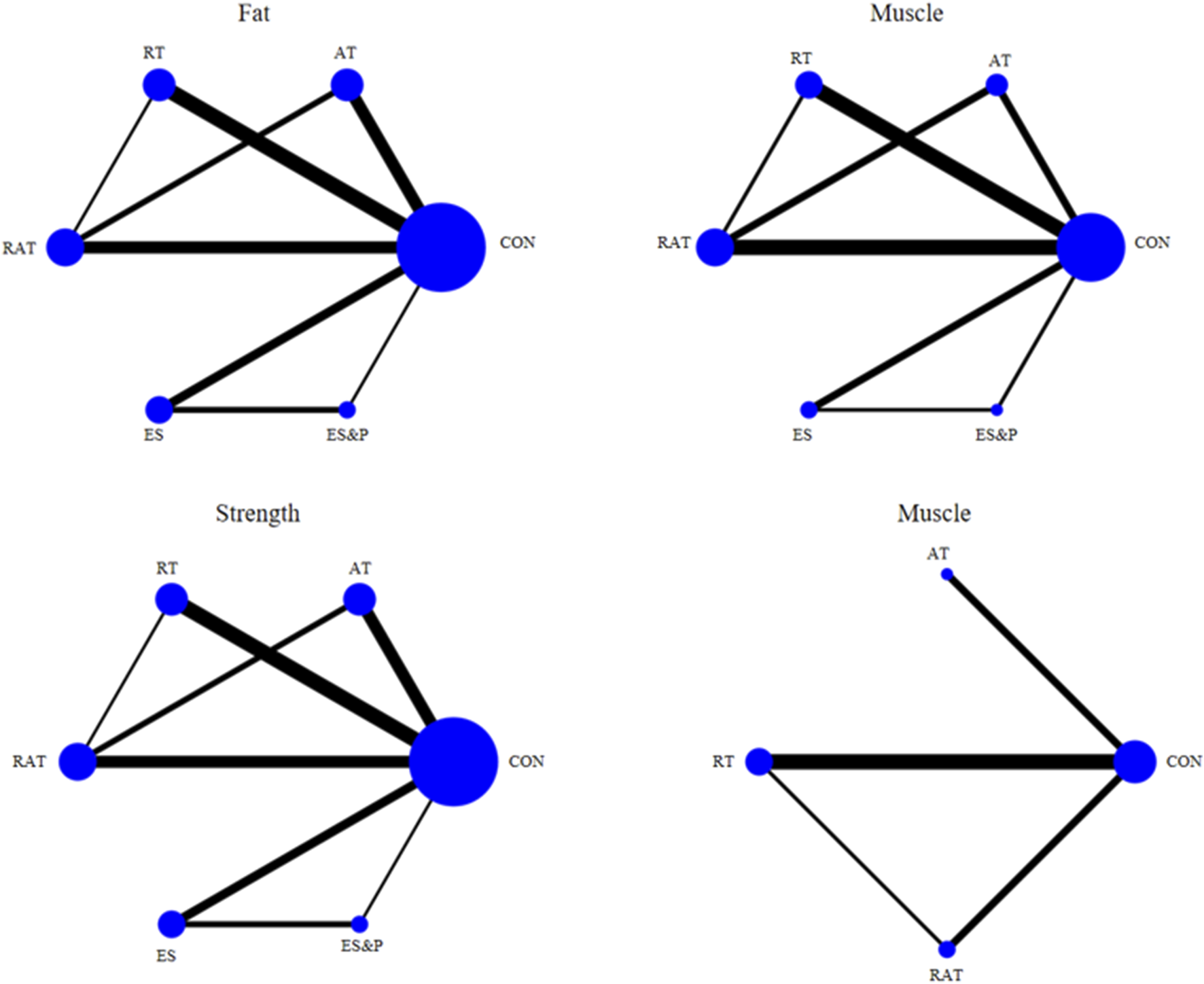 Four network diagrams with blue nodes and black connecting lines. Top left shows "Fat" connections; top right shows "Muscle" connections; bottom left shows "Strength" with thick connections; bottom right shows another "Muscle" arrangement. Labels are RT, AT, RAT, CON, ES, and ES&P. Node size and line thickness vary.