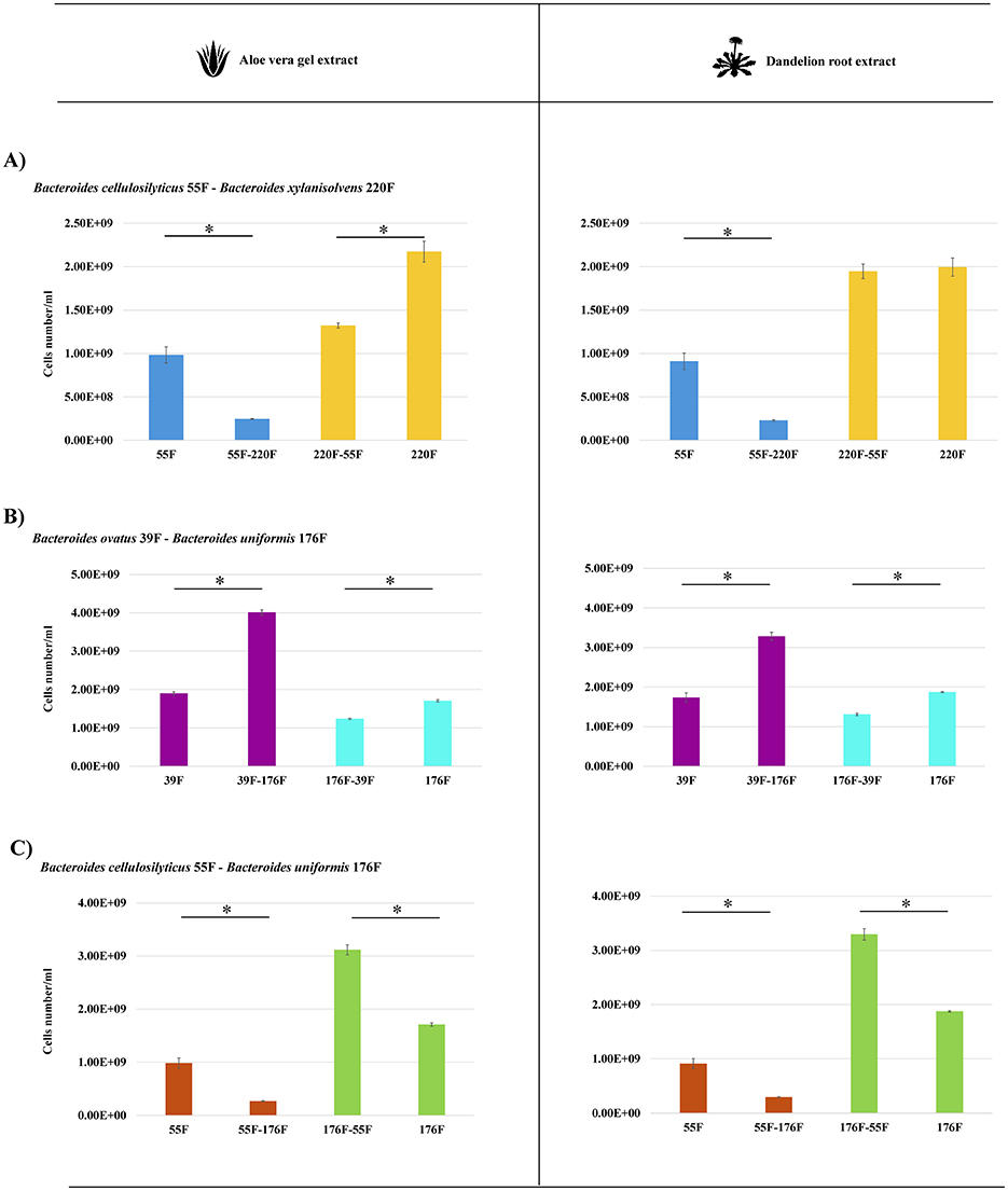 Bar graphs comparing the effects of aloe vera gel extract and dandelion root extract on bacterial growth. Three comparisons (A, B, C) are shown for different bacterial pairs: A) Bacteroides cellulosilyticus 55F vs. Bacteroides xylanolyticus 220F, B) Bacteroides ovatus 39F vs. Bacteroides uniformis 176F, C) Bacteroides cellulosilyticus 55F vs. Bacteroides uniformis 176F. Each graph shows cell numbers with notable differences marked by asterisks, indicating statistical significance.