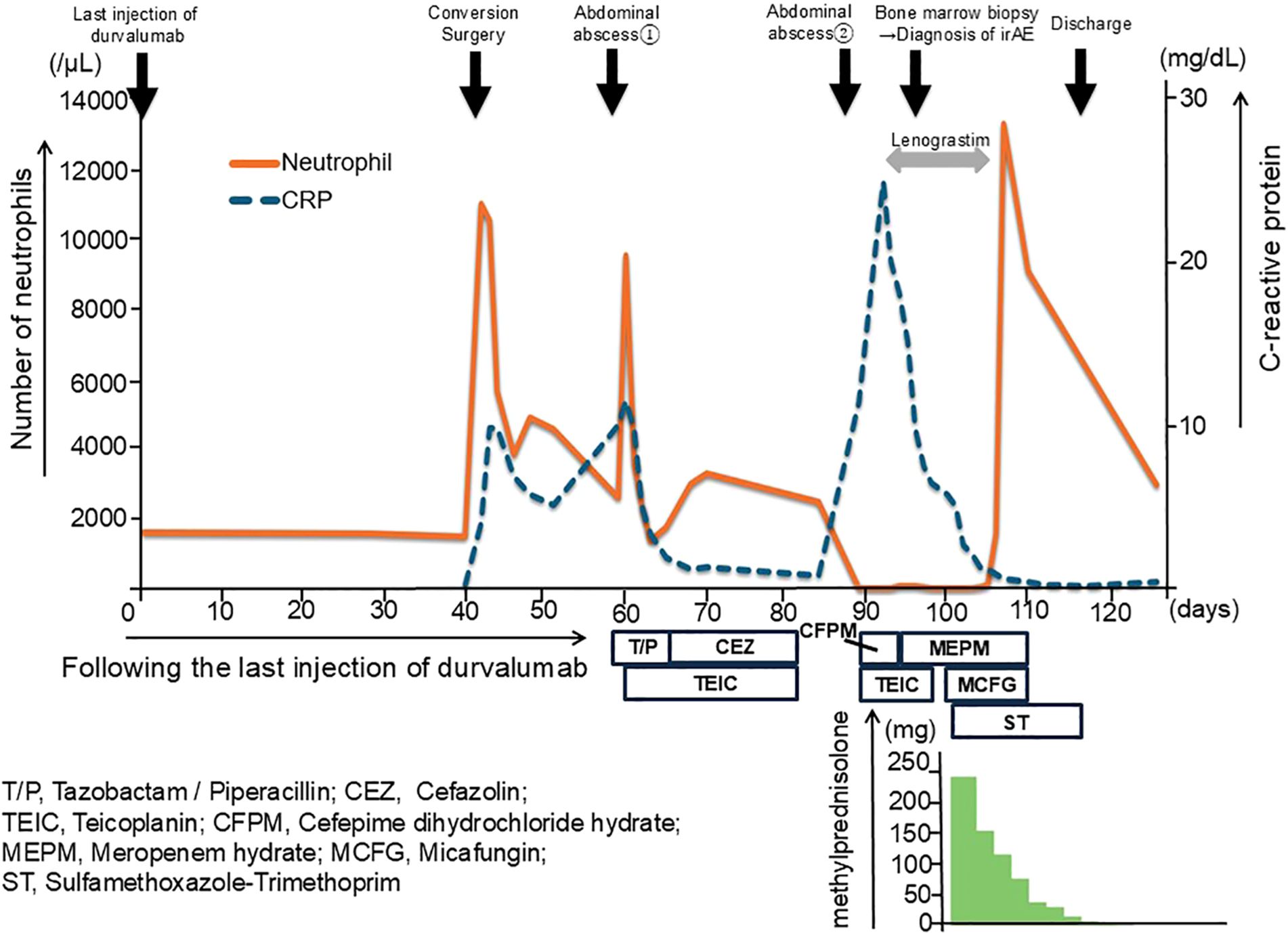 Graph showing changes in neutrophil count and C-reactive protein (CRP) levels over 120 days after the last durvalumab injection. Key events include surgery, abscesses, biopsy, Lenograstim treatment, and discharge. The neutrophil count (orange line) and CRP levels (dashed blue line) fluctuate, with spikes correlating to medical interventions. Treatment with various antibiotics is noted at the bottom. Methylprednisolone dosages decrease over time.
