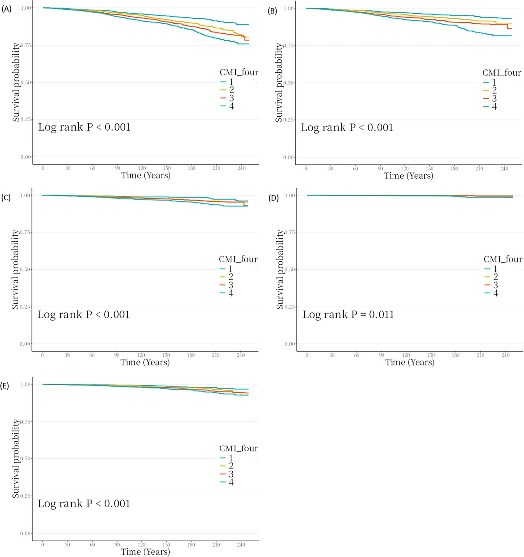 Five Kaplan-Meier survival curves labeled A to E, each showing survival probability over time in years for four groups (1, 2, 3, 4) with distinct colors. Panels A, B, C, and E have log rank P < 0.001 indicating significant differences, while D has log rank P = 0.011.