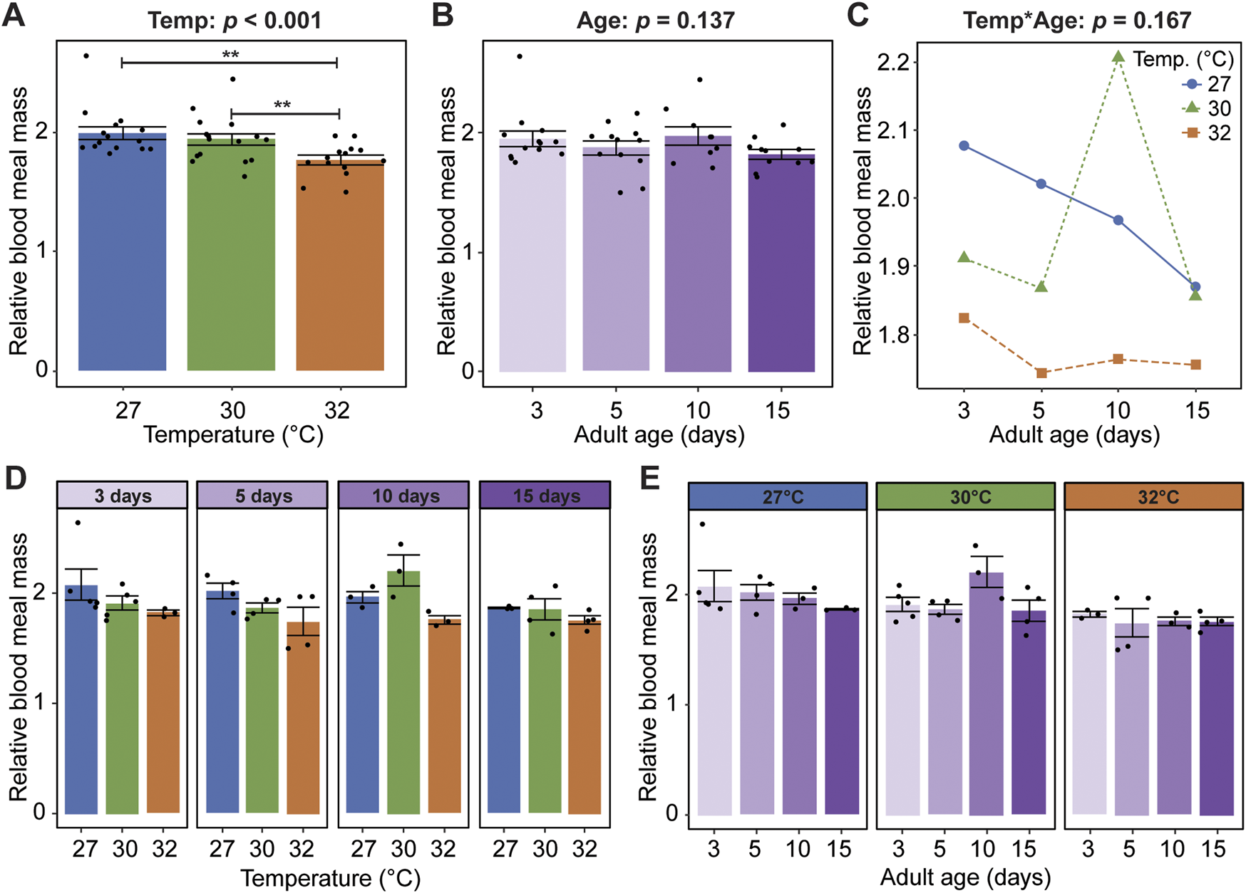 Graphs displaying the effects of temperature and adult age on relative blood meal mass. Panel A shows significant differences in meal mass across temperatures 27°C, 30°C, and 32°C. Panel B shows no significant effect of adult age. Panel C illustrates interactions between temperature and age, showing non-significant interactions. Panel D details meal mass over ages 3, 5, 10, and 15 days at different temperatures. Panel E compares meal mass across ages at fixed temperatures 27°C, 30°C, and 32°C. Error bars and individual data points are included.