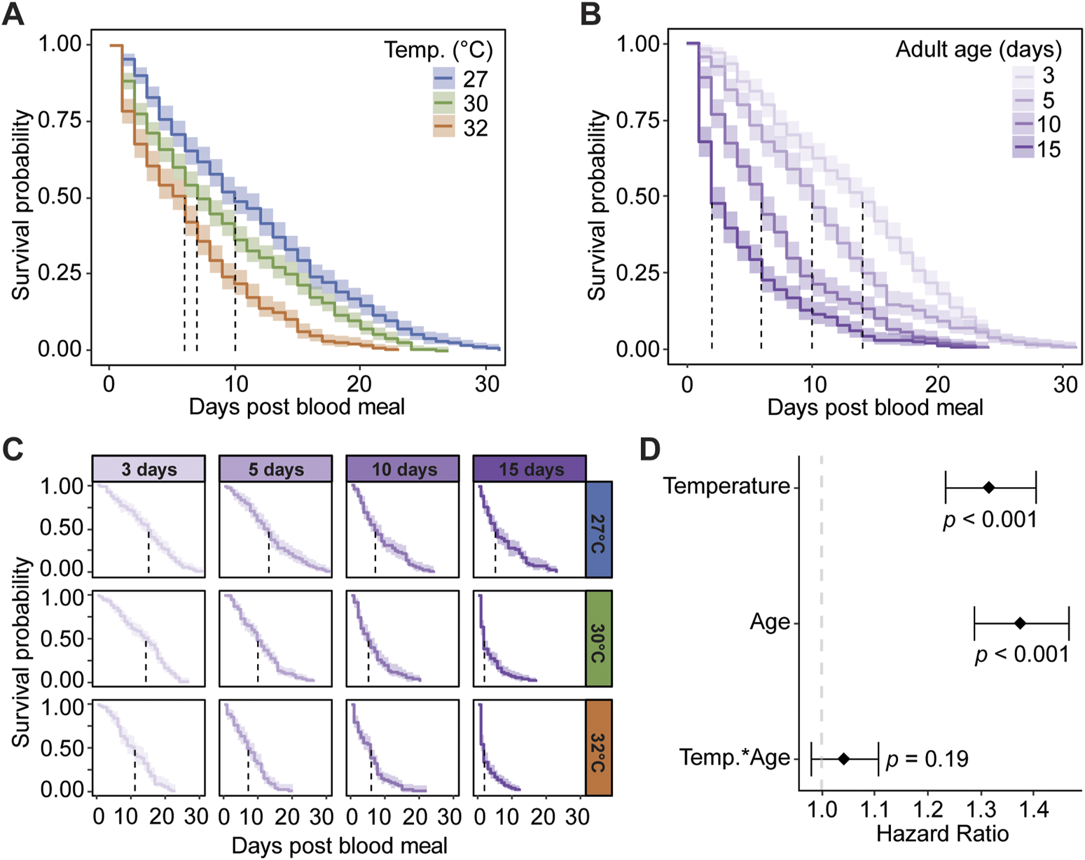 Four-panel graph showing survival probabilities of mosquitoes post-blood meal. Panel A depicts survival by temperature (27°C, 30°C, 32°C), showing an inverse relationship between temperature and survival days. Panel B shows survival based on adult age (3, 5, 10, 15 days), indicating older mosquitoes have decreased survival. Panel C combines the first two factors, displaying grids for different combinations of temperature and age. Panel D presents hazard ratios for temperature and age, highlighting significant impacts on survival (p < 0.001), with a non-significant interaction term.