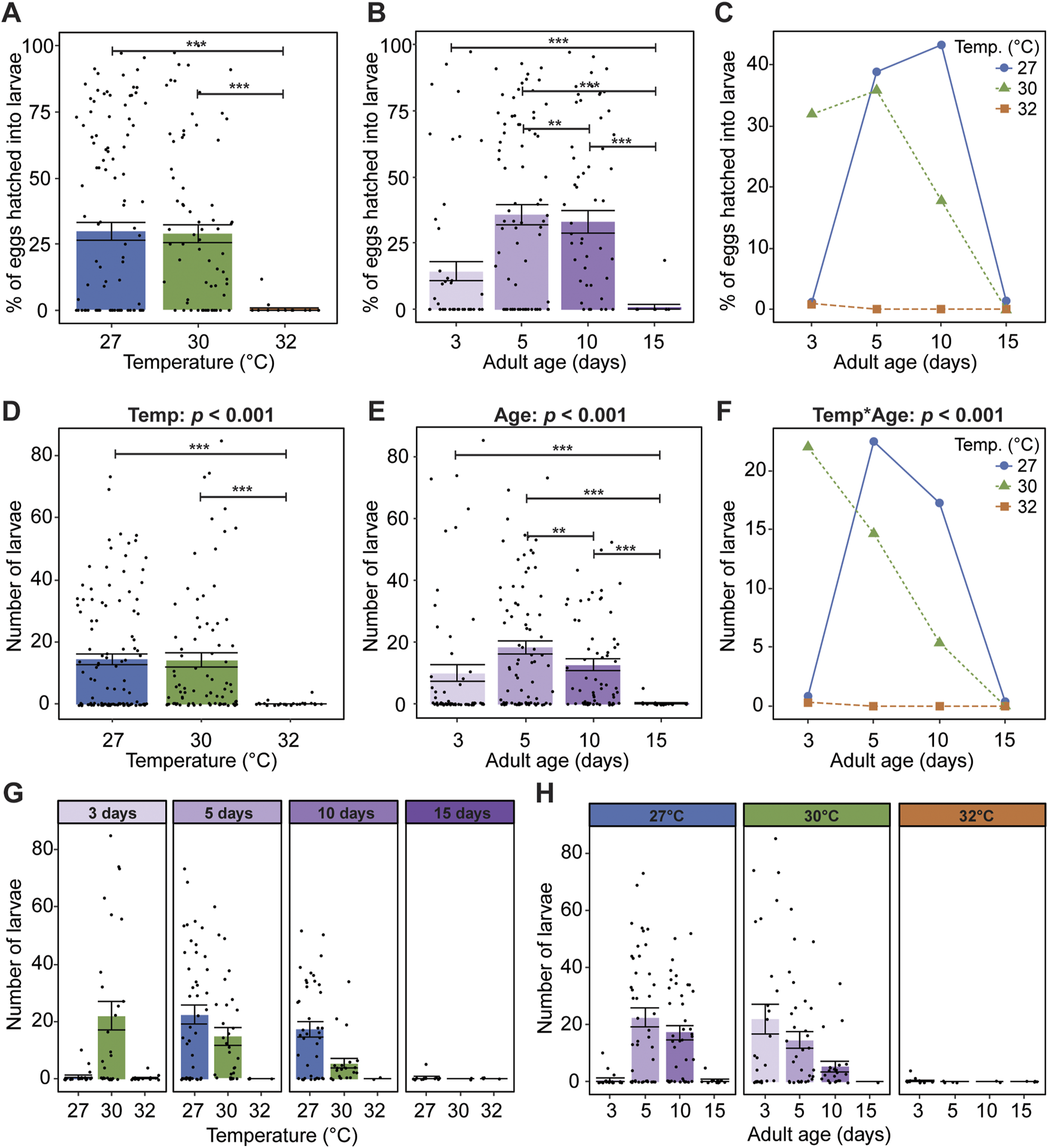 Charts displaying data on egg hatching and larval counts under various conditions. Panels A, B, C show the percentage of eggs hatched at different temperatures and adult ages. Panels D, E, F display the number of larvae under the same conditions. G and H present the number of larvae grouped by combined conditions of temperature and adult age with statistical significance indicated by asterisks and p-values.
