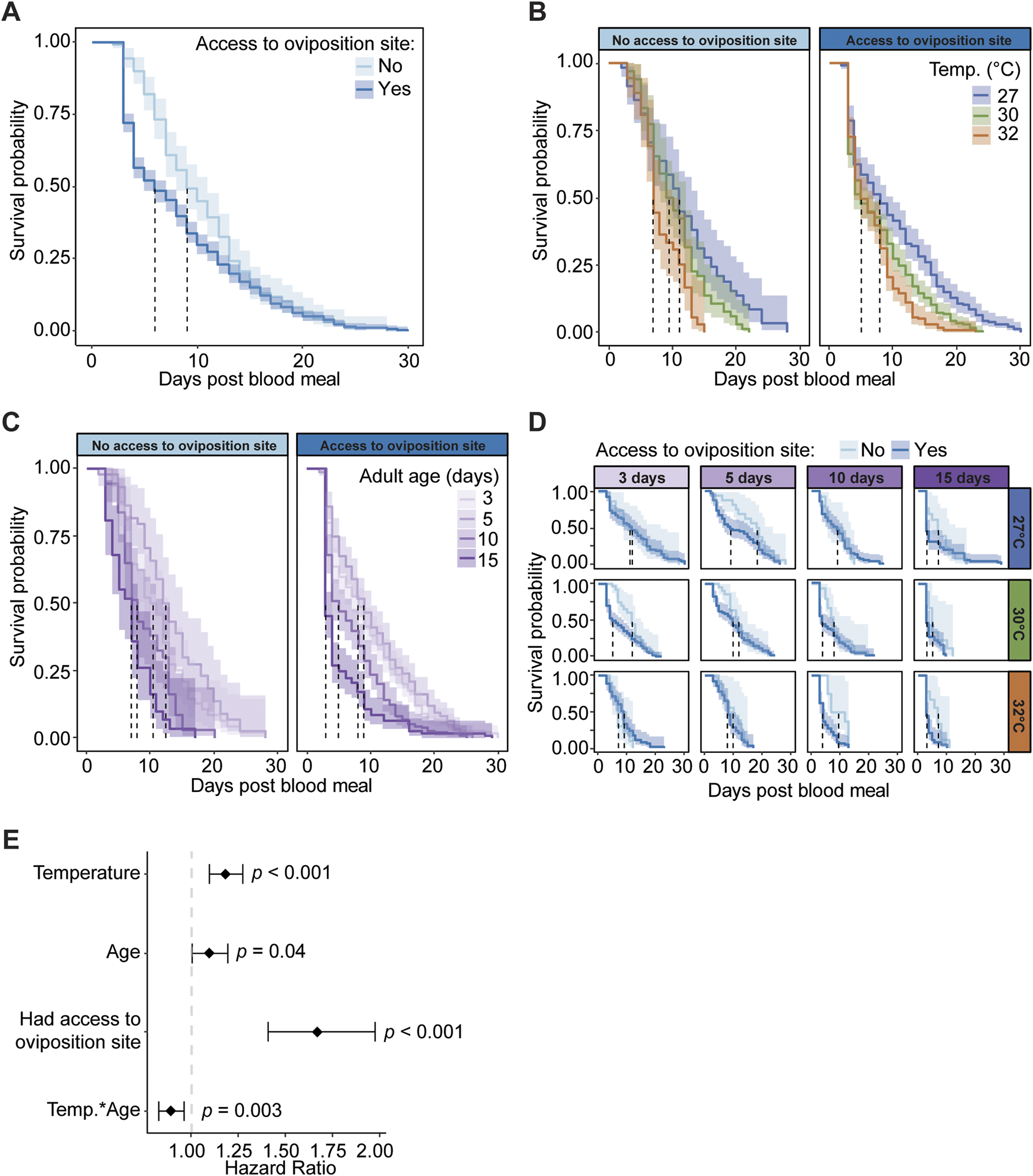 Graphs illustrate survival probability of mosquitoes based on various conditions. A: Comparison of access/no access to oviposition sites. B: Survival at different temperatures (27°C, 30°C, 32°C) with/without oviposition access. C: Survival by adult age with same conditions. D: Grid of survival probability across different temperatures and adult ages. E: Hazard ratio plot with significance levels for temperature, age, and oviposition site access.