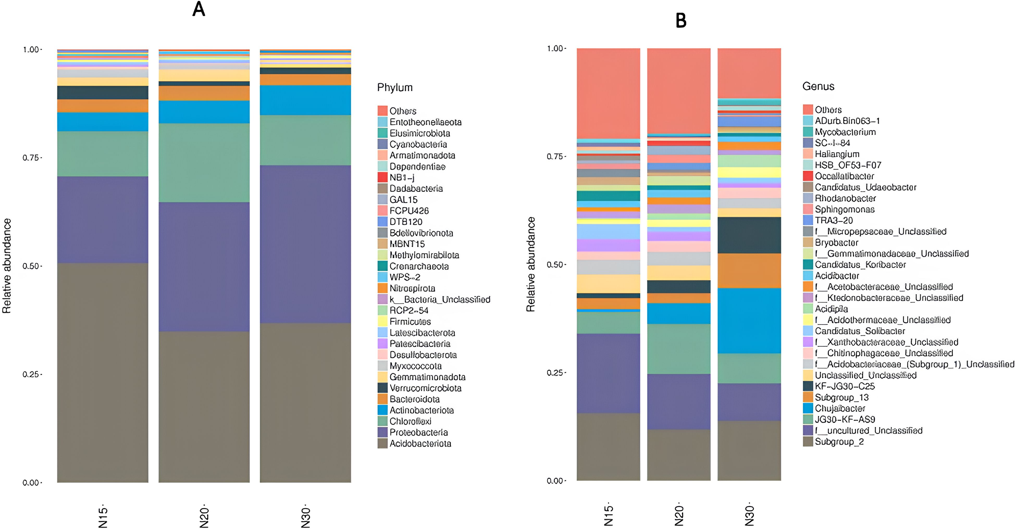 Bar graphs comparing the relative abundance of microbial communities. Panel A shows abundance by phylum, while Panel B shows abundance by genus. Each section is color-coded and labeled, representing data from samples N15-, N20-, and N30-.