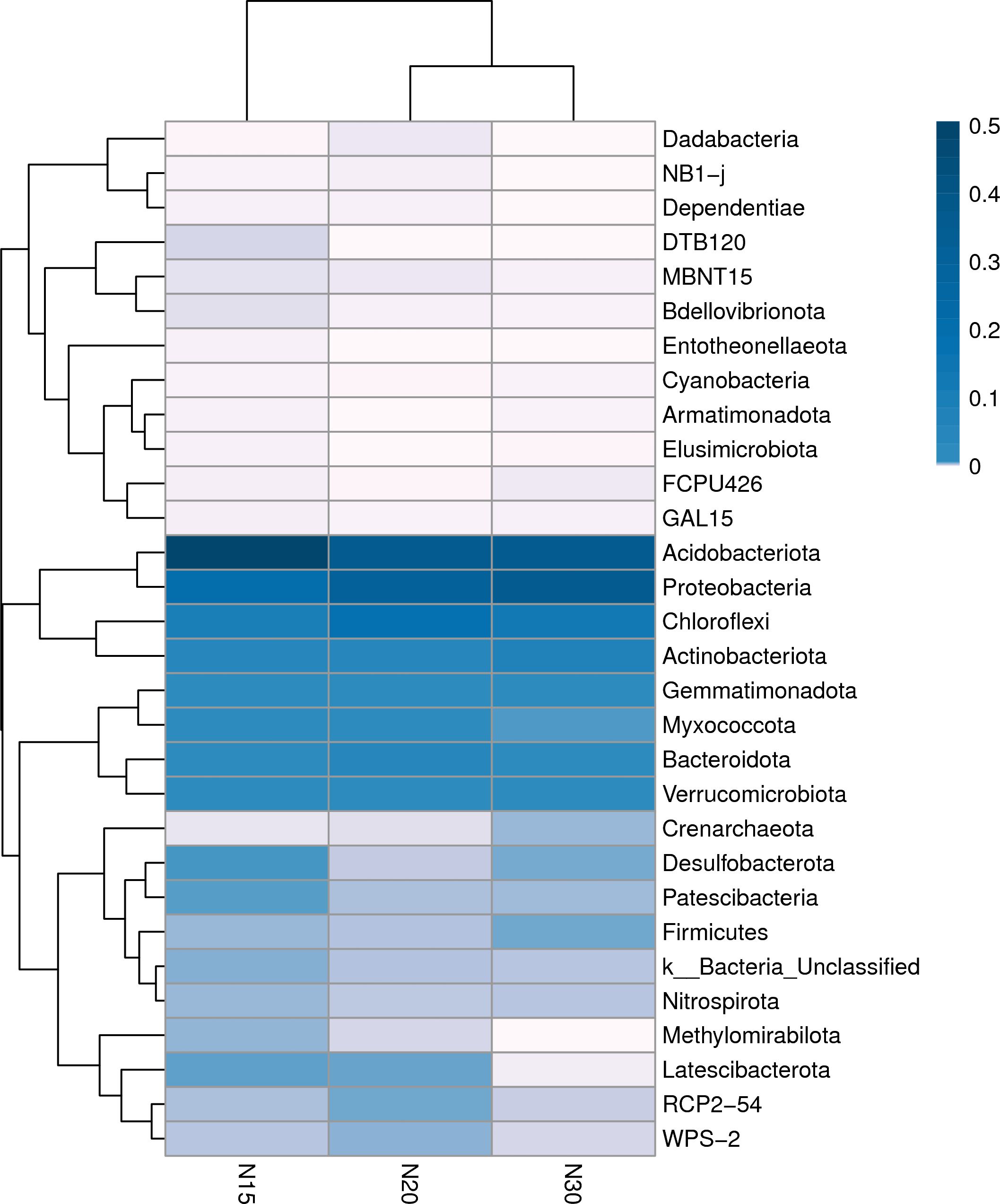 Dendrogram with a heatmap showing the distribution of various bacterial phyla across three samples labeled N15, N20, and N30. The color gradient indicates abundance, with darker blue representing higher values. Bacterial names listed on the right include Dadabacteria, Actinobacteriota, Cyanobacteria, and others. The key ranges from 0 to 0.5.
