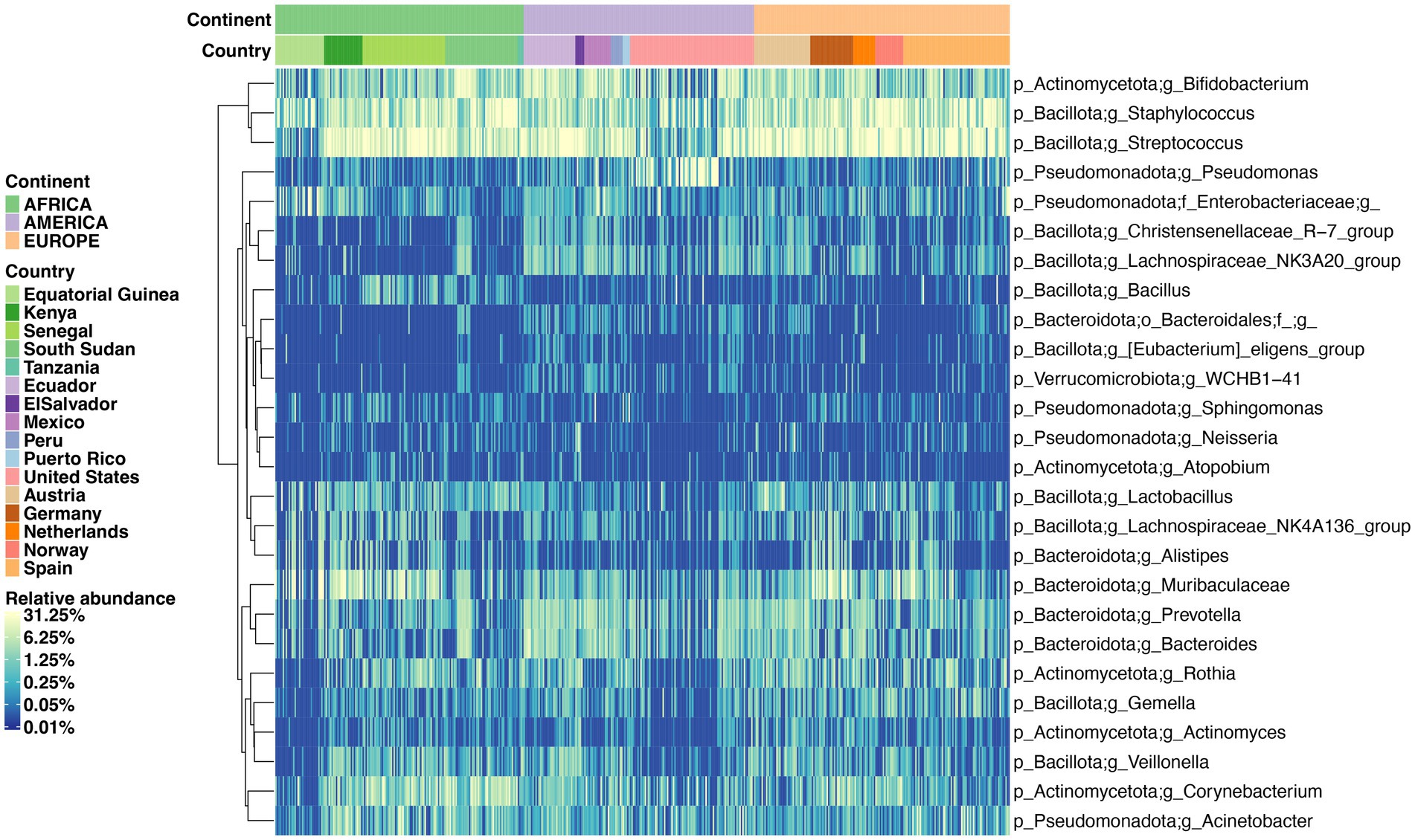 Heatmap showing the relative abundance of various bacterial genera across countries and continents. The vertical axis lists different bacteria, while the horizontal axis represents countries categorized by continent: Africa, America, and Europe. Colors range from dark blue (low abundance) to light yellow (high abundance). Key countries include Equatorial Guinea, Kenya, the United States, and Germany.