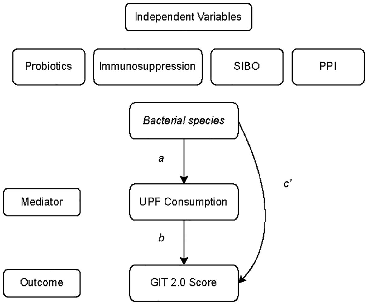 Diagram illustrating the relationship between independent variables and outcomes. Independent variables include probiotics, immunosuppression, SIBO, and PPI. These affect bacterial species, which influences UPF consumption and, subsequently, GIT 2.0 score. Arrows labeled 'a', 'b', and 'c' show mediation paths.