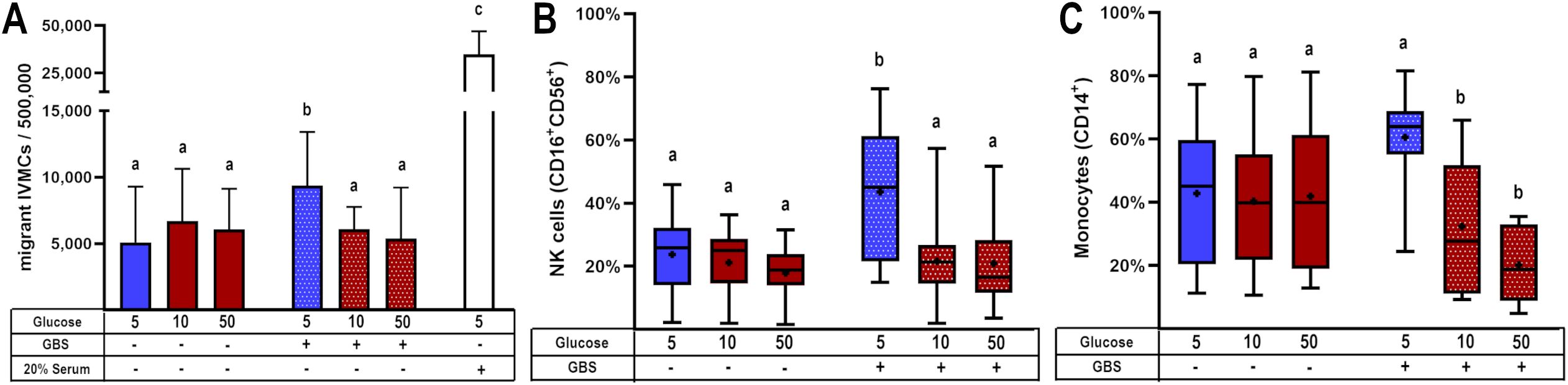 Box plots labeled A, B, and C compare immune cell migration under different conditions of glucose and GBS infection. Plot A shows migrant IVMCs per 500,000. Plot B depicts percentages of NK cells (CD16+CD56+), and Plot C shows percentages of monocytes (CD14+), each with different glucose and GBS conditions. Statistical significance is indicated by different letters above the boxes.