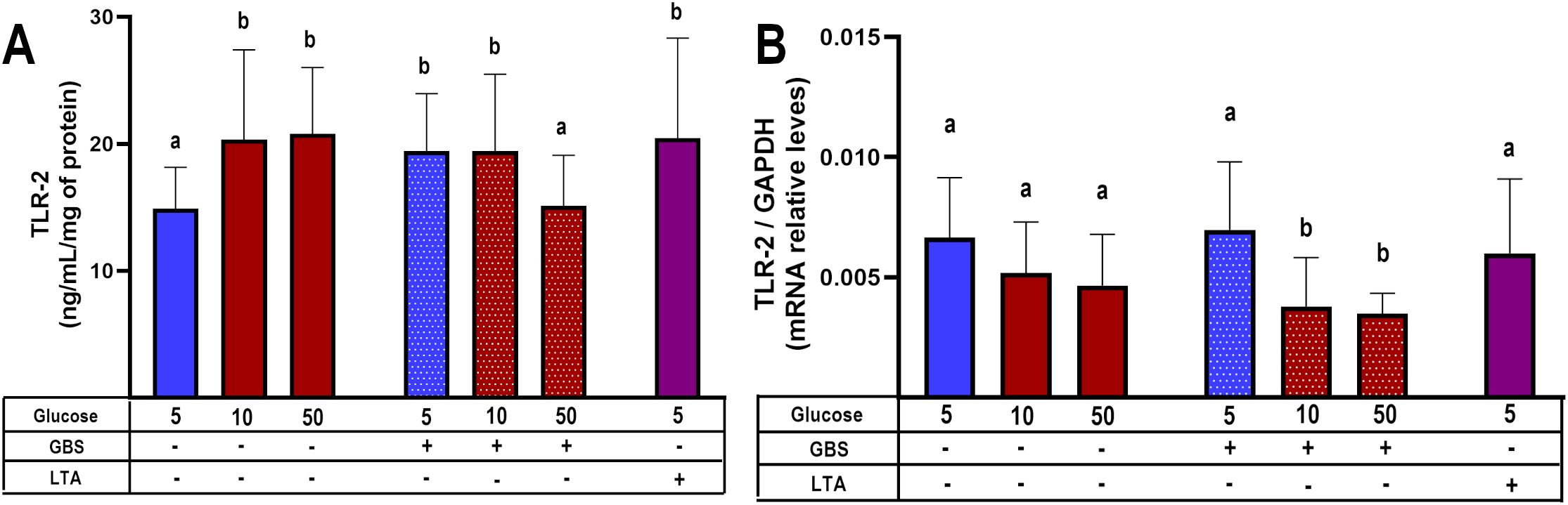 Bar graphs depicting TLR-2 levels. Panel A shows TLR-2 protein levels in various glucose conditions with GBS and LTA treatments. Panel B shows TLR-2 mRNA levels under similar conditions. The glucose levels are 5, 10 and 50 mM, with GBS and LTA. Statistical significance is indicated by different letters.