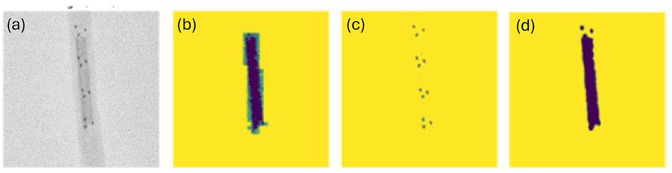 A series of four panels labeled (a) to (d) showcasing different image processing results. Panel (a) shows a grayscale image with dark spots on a linear structure. Panel (b) displays a colored version with a vertical shape in purple against a yellow background. Panel (c) features scattered small dots on a yellow background. Panel (d) presents a solid vertical purple shape on a yellow background.