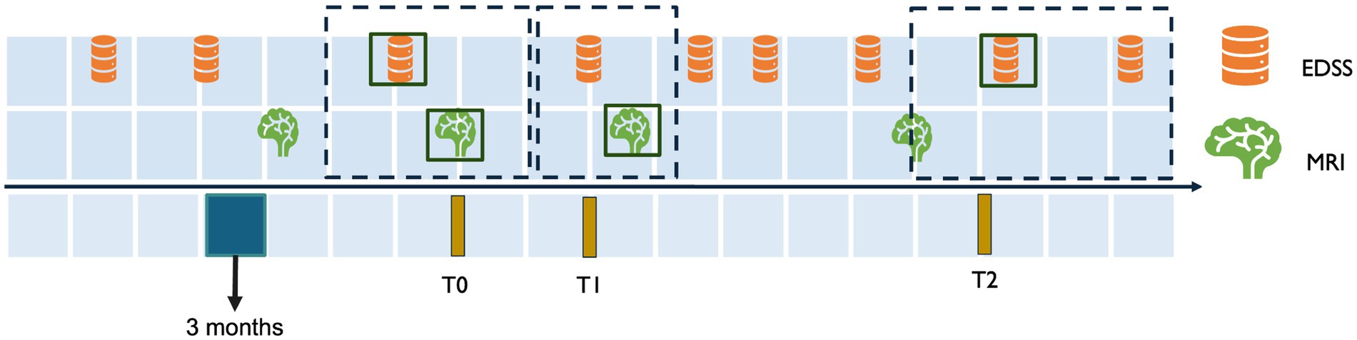 Timeline graphic depicting MRI and EDSS assessments over three time points: T0, T1, and T2. Orange database icons represent EDSS, and green brain icons represent MRI. T0 to T1, and T1 to T2 each have a dashed box indicating assessments. Below, a blue block signifies a three-month interval.