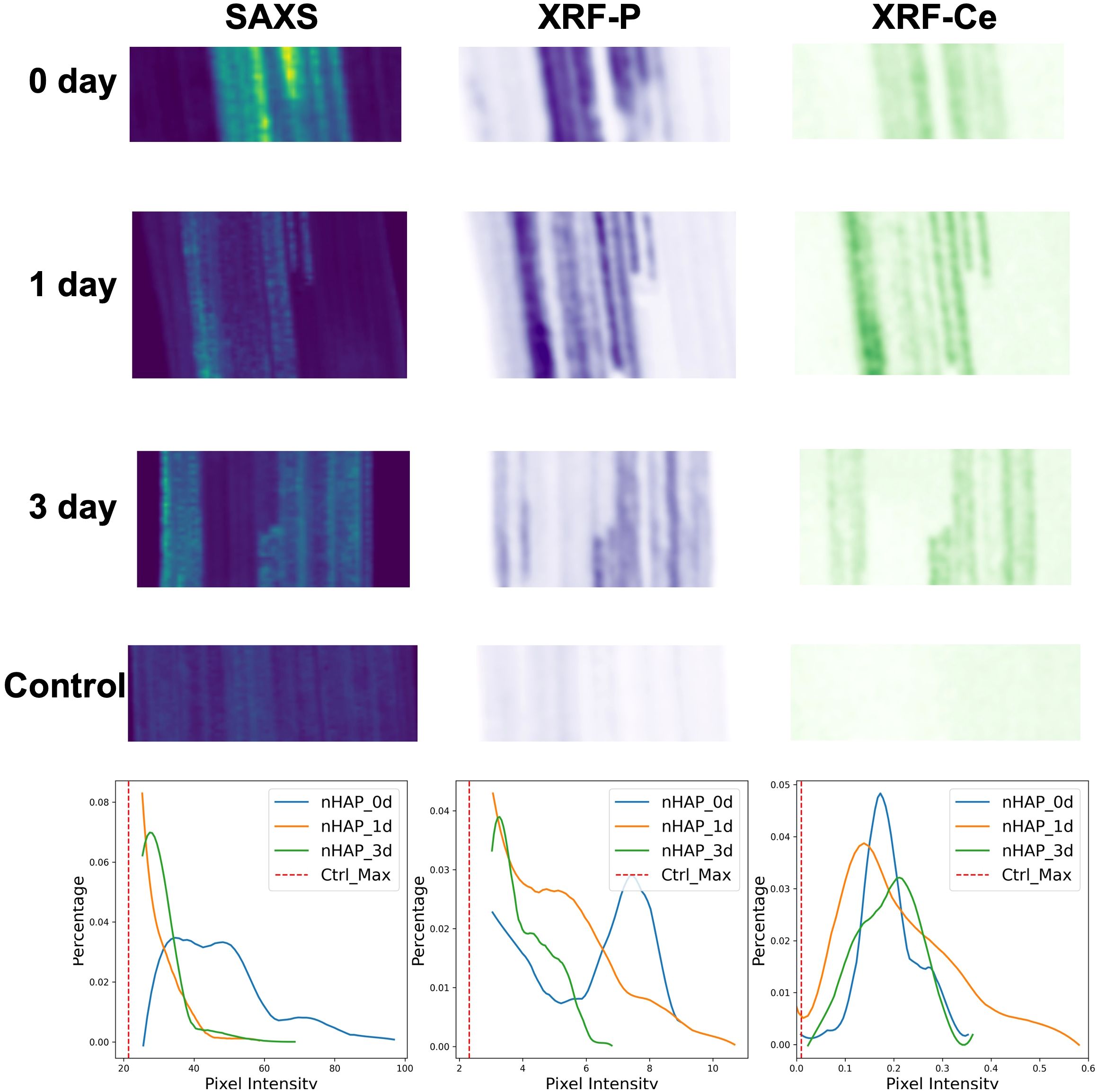 Three columns of imaging data labeled SAXS, XRF-P, and XRF-Ce for 0 day, 1 day, 3 day, and control samples. Below, three line graphs show percentage versus pixel intensity for nHAP and control samples in each imaging technique, with legends indicating colors.