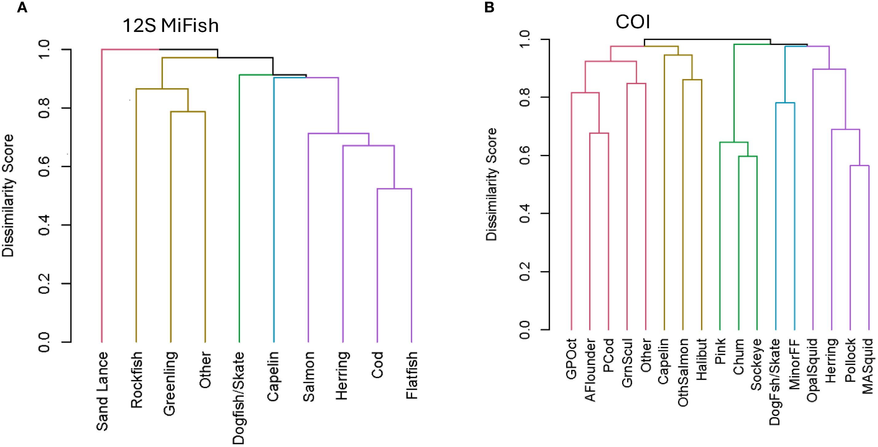 Cluster dendrograms show dissimilarity scores for fish taxa for the 12S MiFish (Panel A) and COI (Panel B) genes. Clusters of fish taxa show the prey groups or species that occurred together in scats for the two datasets.