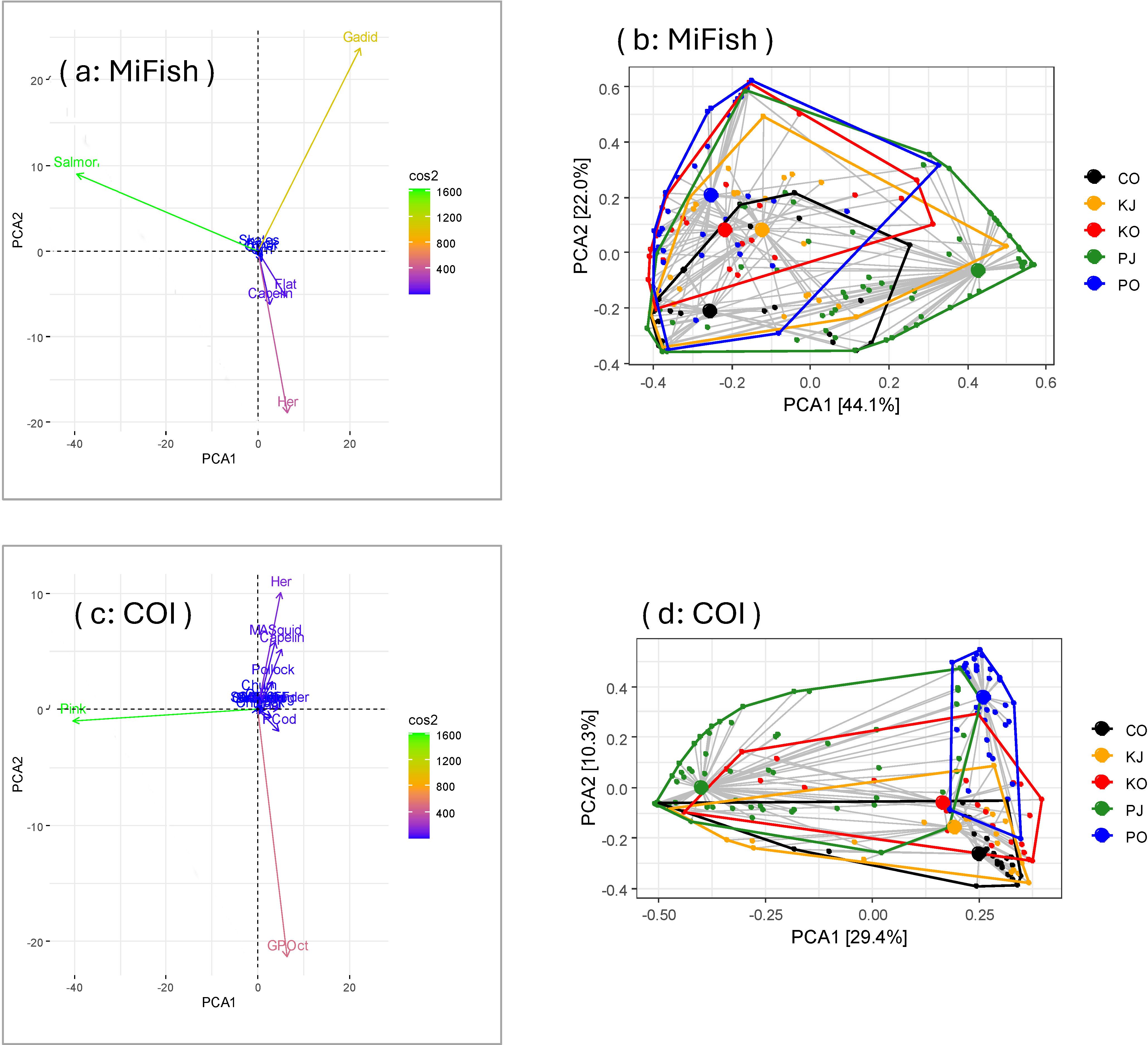 Four plots depicting principal component analysis (PCA) and betadisper results. Plot A and B are results for the 12S MiFish gene. Plot A has axes labeled PCA1 and PCA2, showing species or prey group vectors, like Salmon and Gadid, and a color gradient indicating the strength of relationships. Plot B shows group centroids and dispersion by region/season group based on betadisper results. Region/season groups in plot B are color-coded by Cook Inlet October (CO), Kodiak July (KJ), Kodiak October (KO), PWS July (PJ), and PWS October (PO). Plot C and D are results for the COI gene with similar axes and plot components.