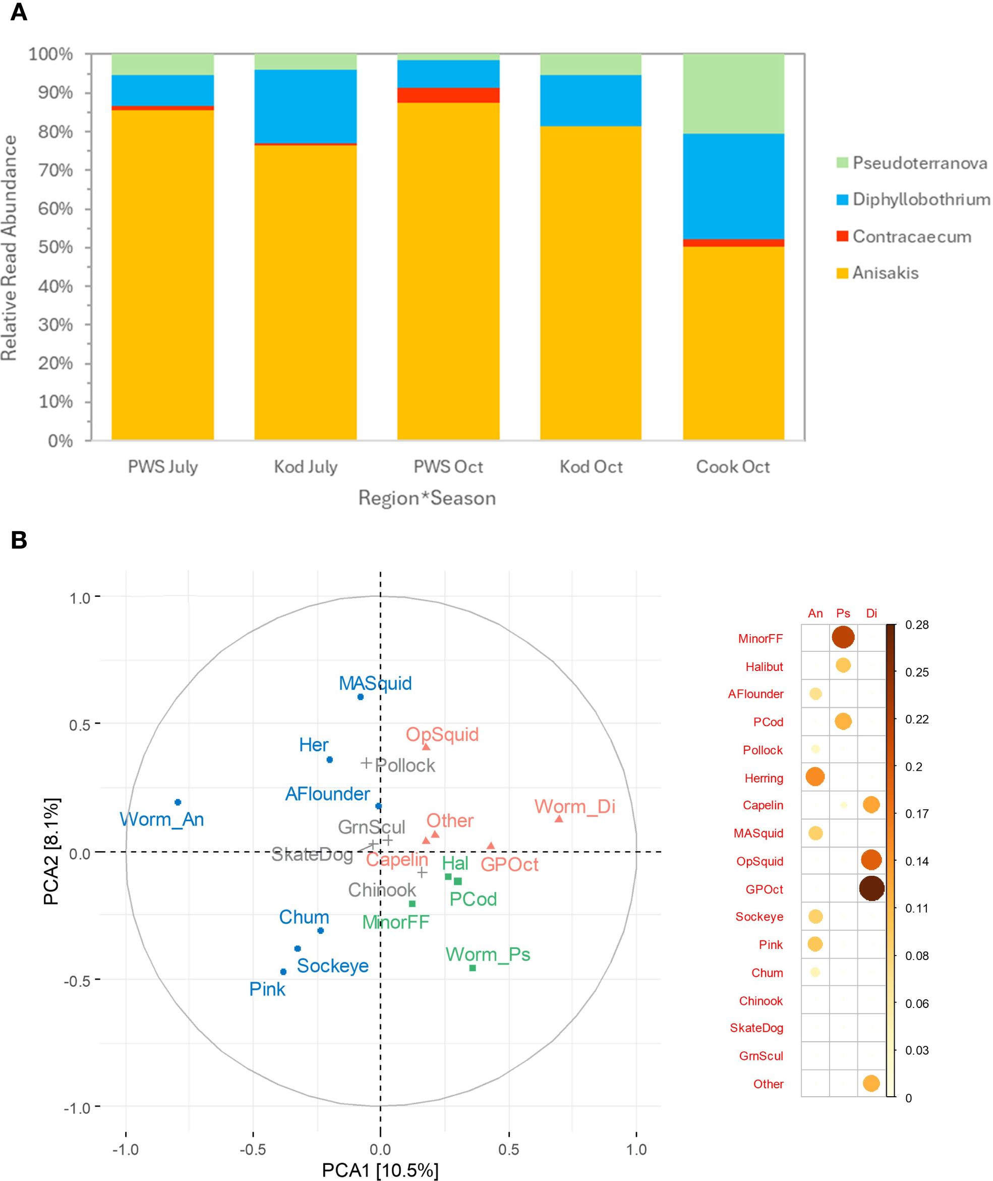 Panel A displays a stacked bar chart showing the relative read abundance of different parasites across various regions and seasons. Anisakis occupies the majority, followed by Diphyllobothrium, Pseudoterranova, and Contracaecum. Panel B presents a PCA biplot, illustrating the distribution of various fish and worm types, with distinct groupings and colored annotations. The legend identifies species and parasites by color.