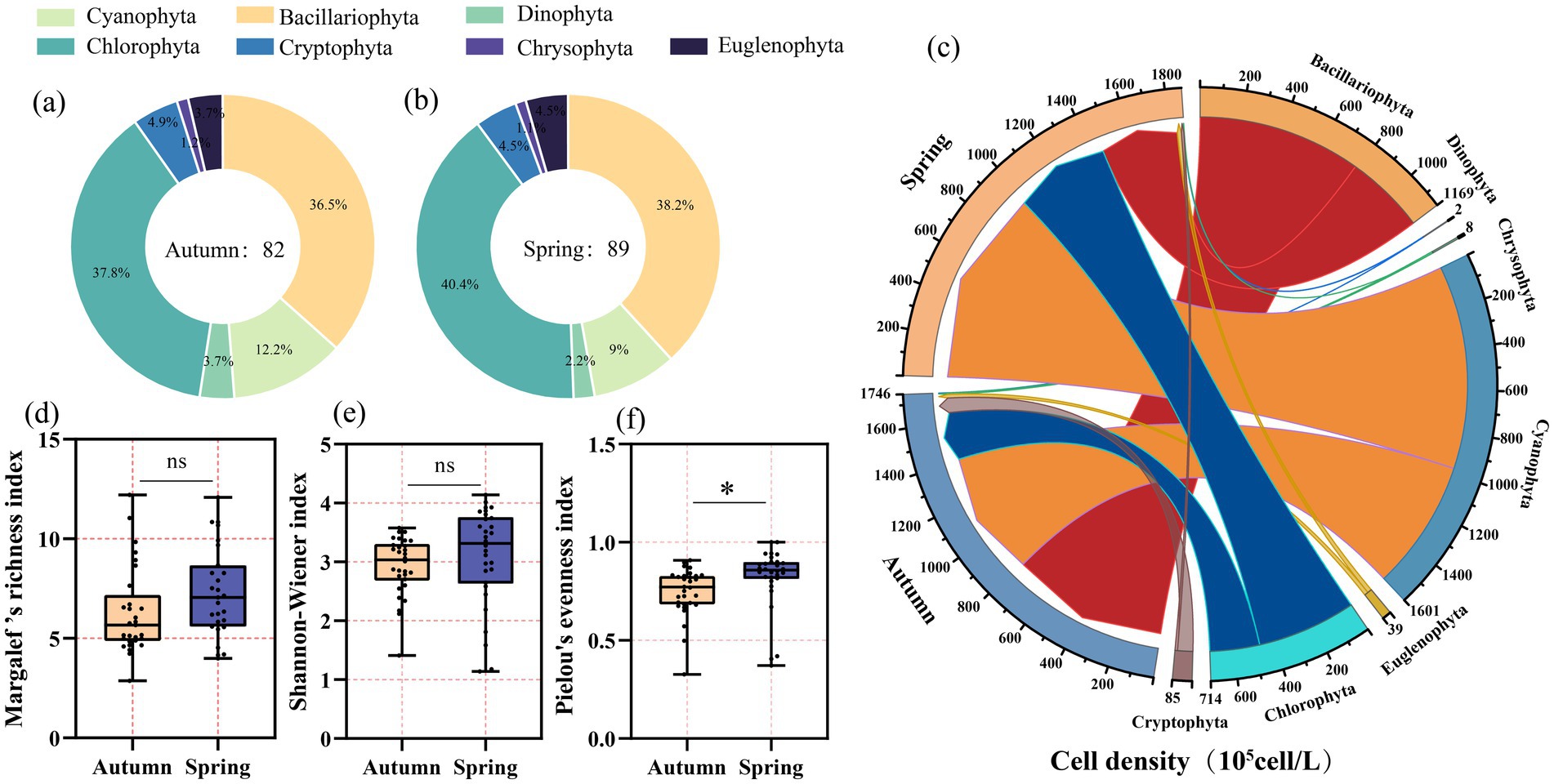 The image consists of multiple panels showing data on phytoplankton classification across seasons. (a) and (b) are doughnut charts displaying species proportions in autumn and spring, respectively. (c) is a circular diagram depicting cell density distribution among phytoplankton groups in both seasons. (d), (e), and (f) are box plots comparing Margalef’s richness index, Shannon-Wiener index, and Pielou’s evenness index between autumn and spring. Different phytoplankton groups are color-coded, with proportions and indexes shown for each category.