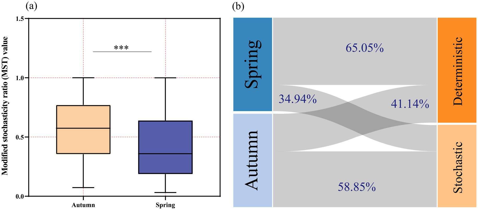 (a) Boxplot comparing Modified Stochasticity Ratio values for autumn and spring. Autumn shows higher values than spring, indicated by three asterisks representing significance. (b) Flow diagram displaying percentage contributions of spring and autumn to deterministic and stochastic processes, with spring contributing 65.05% to deterministic and 34.94% to stochastic, while autumn contributes 41.14% to deterministic and 58.85% to stochastic.