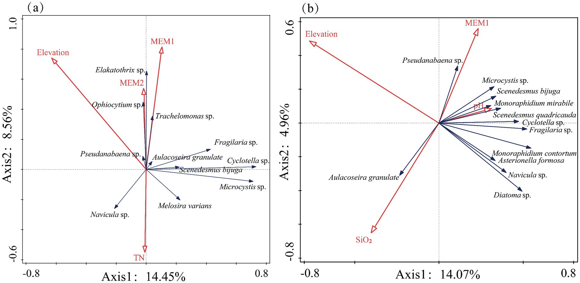 Two redundancy analysis biplots depict relationships between different species and environmental factors. Panel (a) shows species such as Pseudanabaena and Melosira varians influenced by elevation and total nitrogen (TN). Panel (b) highlights species like Aulacoseira granulata and Monoraphidium affected by factors like silicon dioxide (SiO2) and pH. Arrows length indicate intensity of influence, with red representing environmental factors and blue representing species data. The dominant species in both seasons are influenced by geographical and altitude factors.