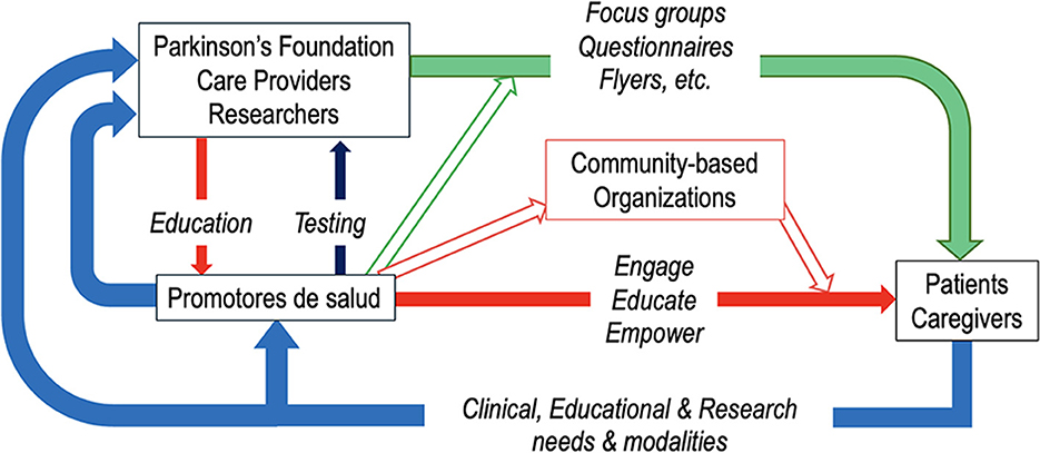 Flowchart depicting interactions between Parkinson's Foundation, care providers, researchers, promotores de salud, community-based organizations, and patients/caregivers. Arrows indicate flow of education, testing, engagement, and empowerment through focus groups and other methods. The chart highlights clinical, educational, and research needs and modalities.