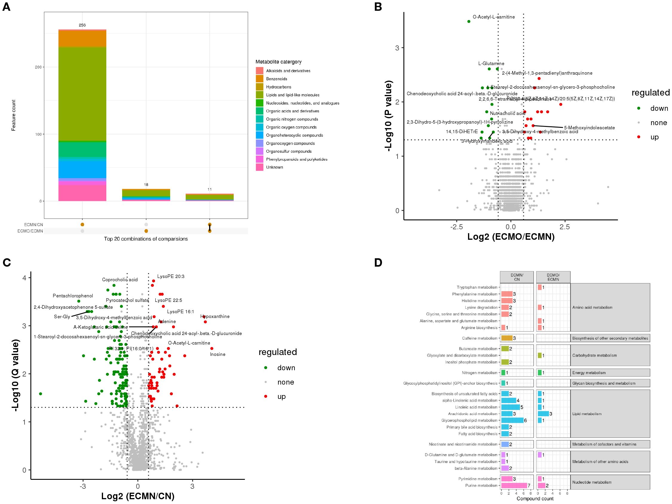 Panel A shows a bar graph depicting the top 20 combinations of metabolite comparisons. Panels B and C present scatter plots with log concentration ratios on the x-axis and negative logarithm of P or Q values on the y-axis, highlighting upregulated and downregulated metabolites in red and green. Panel D contains a categorized bar graph of various metabolic pathways, with assigned compound counts and categories. Each panel is color-coded to represent different metabolite categories.