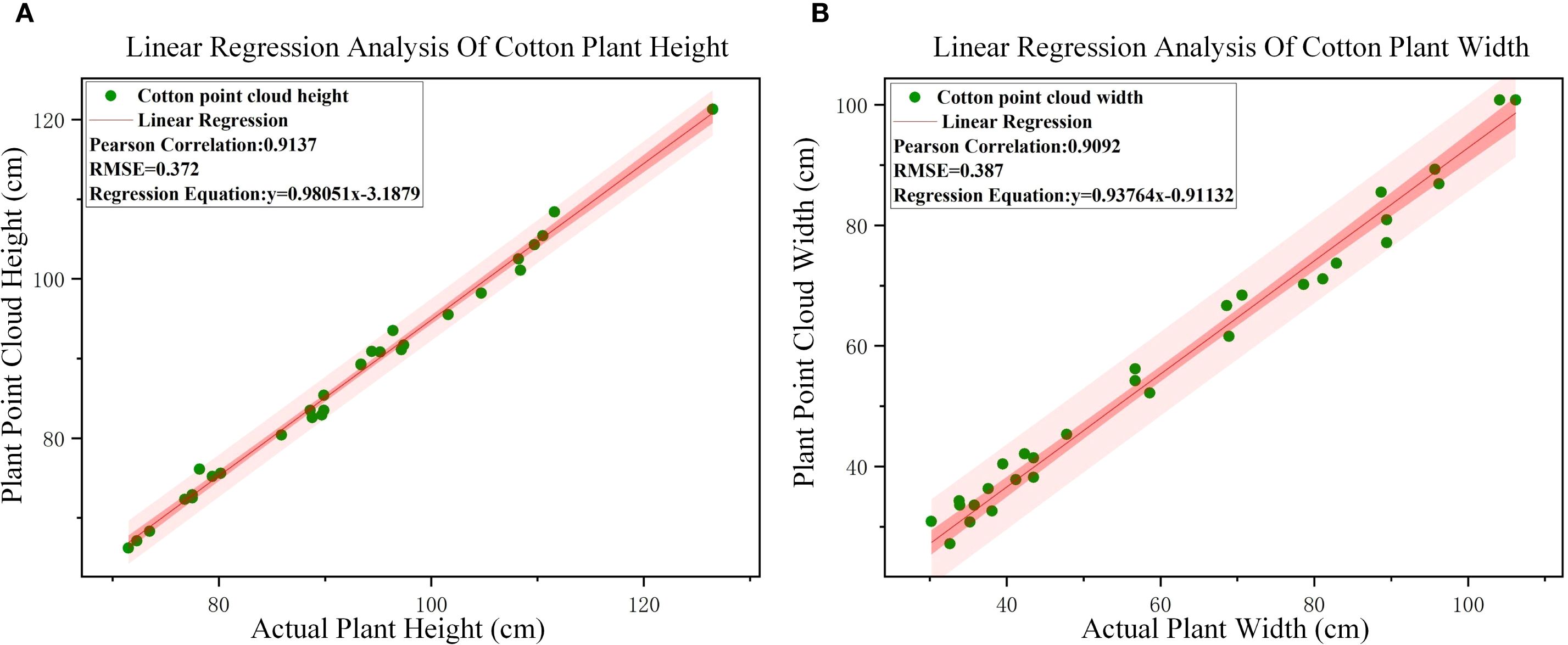 Scatter plots with linear regression analyses of cotton plant measurements. Panel A shows plant height with a high Pearson correlation of 0.9137 and an RMSE of 0.372. The regression equation is y equals zero point nine eight zero five one x minus three point one eight seven nine. Panel B depicts plant width, with a Pearson correlation of 0.9092 and an RMSE of 0.387. The regression equation is y equals zero point nine three seven six four x minus zero point nine one one three two. Green dots represent data points with regression lines and confidence intervals highlighted.