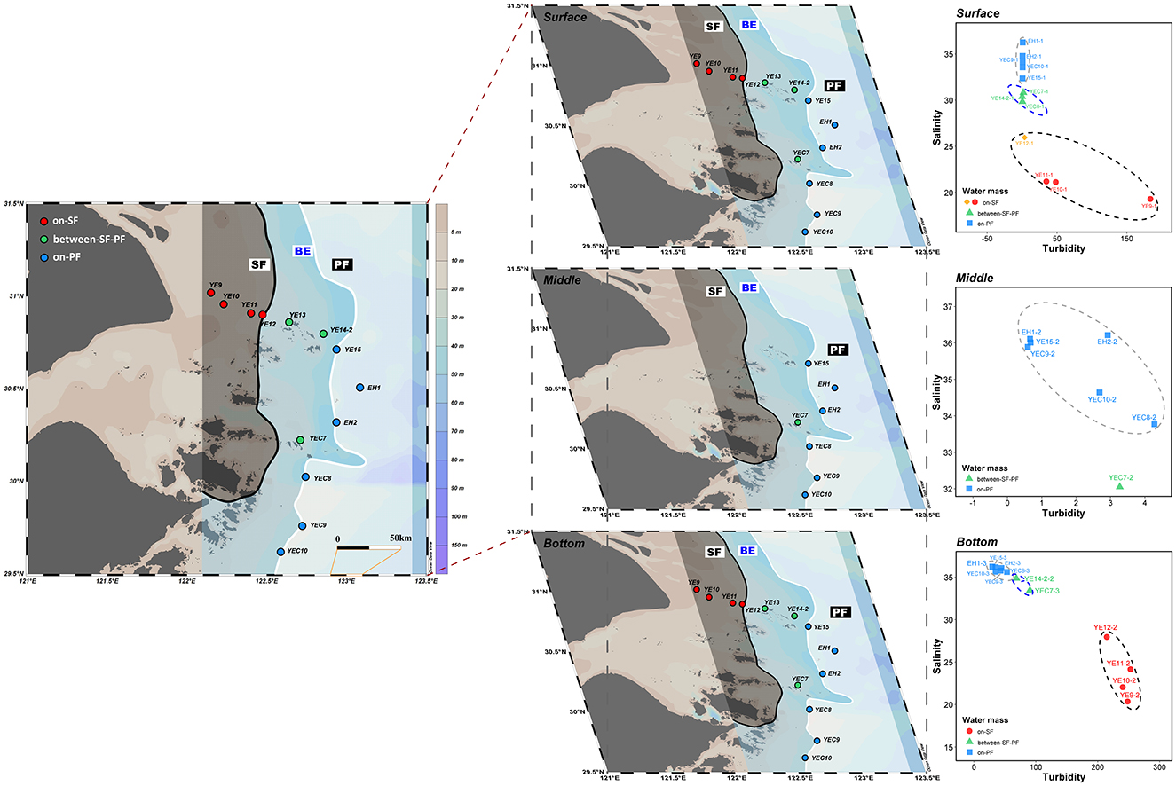 Map and graphs showing stations, and salinity and turbidity data for surface, middle, and bottom water layers in a dual fronts system. Locations are marked with different colors for water mass on the sediment front (SF), between the sediment front and plume front (BE), and on the plume front. Three graphs display salinity against turbidity, with ellipses indicating water mass groupings for each layer: surface, middle, and bottom. Different colors represent distinct water masses.