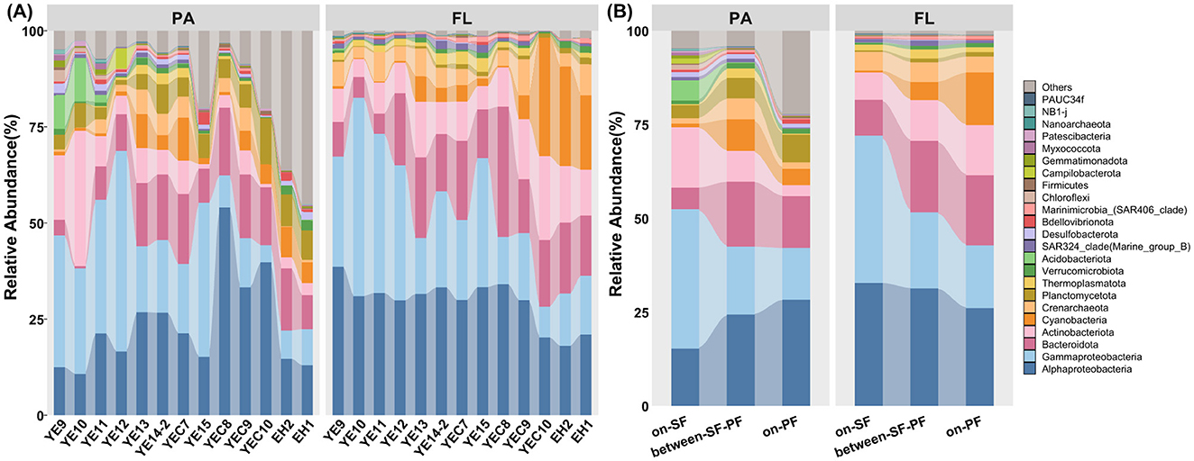 Bar charts comparing the relative abundance of various microbial groups in PA and FL community across different stations and water masses. Chart A shows abundance for all samples, while Chart B shows abundance for on-SF, between-SF-PF, and on-PF water masses. Different colors represent microbial phylum, with corresponding legend details on the right. Percentages are indicated on the y-axis.