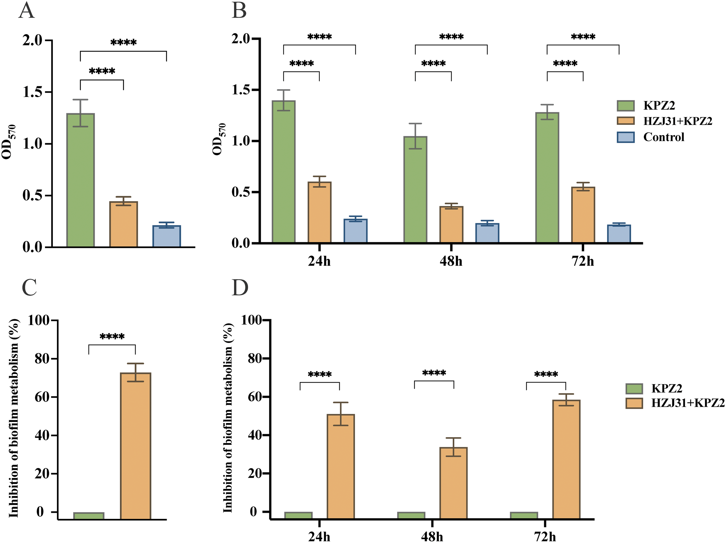 Bar charts illustrating biofilm formation and inhibition using different treatments (KPZ2, HZJ31+KPZ2, Control) at various time points. Panels A and B display OD values at 570 nm for biofilm formation, showing significant differences between treatments over 72 hours. Panels C and D show the percentage of inhibition of biofilm metabolism, with HZJ31+KPZ2 demonstrating notable inhibition compared to KPZ2 alone across all time points. Statistical significance is indicated by asterisks.