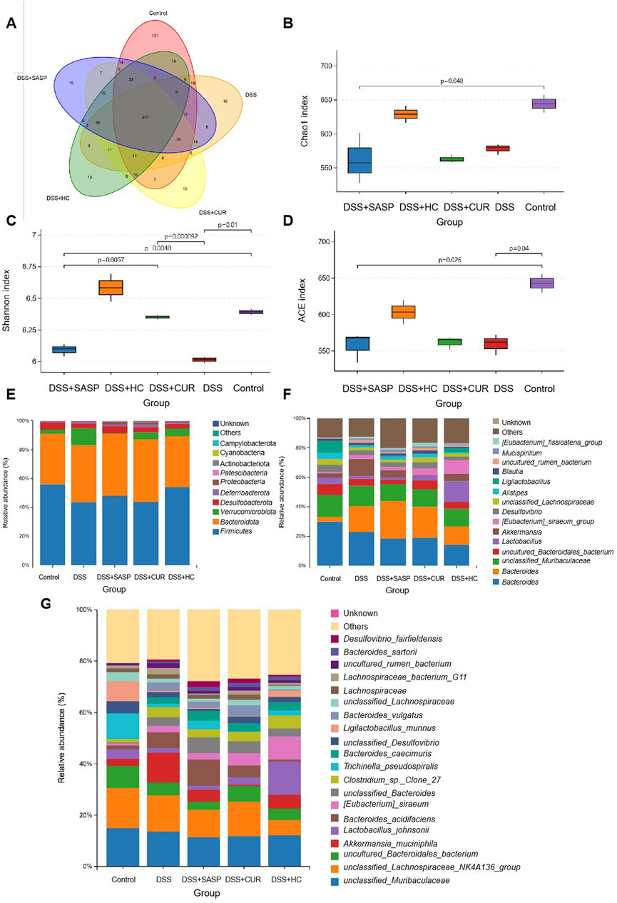 A series of charts comparing different treatment groups: A. Venn diagram showing overlap in group characteristics. B. Box plot of Chao1 index across groups, highlighting significant differences. C. Box plot of Shannon index, indicating diversity changes with p-values. D. Box plot of ACE index, showing significant variations. E. Bar chart of phylum-level relative abundance, showcasing microbial composition. F. Genus-level bar chart, detailing diverse microbial taxa. G. Species-level bar chart of relative abundance, illustrating microbial community shifts.
