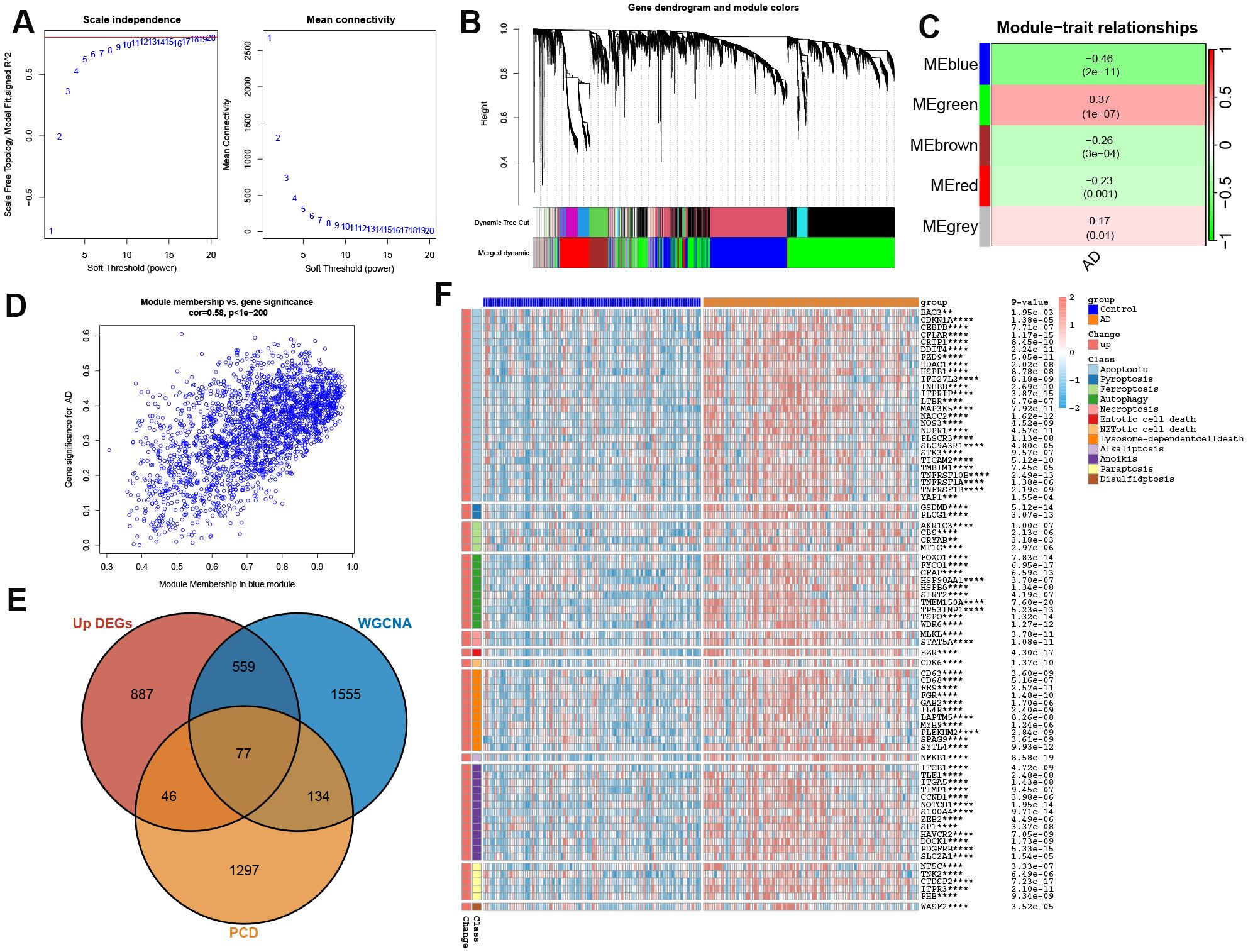 Multiple panels illustrating a gene expression study using weighted gene co-expression network analysis. A) Graphs showing scale independence and mean connectivity against soft threshold power. B) Gene dendrogram with modules marked in different colors. C) Heatmap showing module-trait relationships with correlation values. D) Scatter plot of module membership versus gene significance for a blue module. E) Venn diagram depicting overlap between differentially expressed genes (DEGs), programmed cell death (PCD), and WGCNA data. F) Heatmap showing expression patterns of multiple genes across control and Alzheimer’s Disease (AD) groups with annotated functions and p-values.