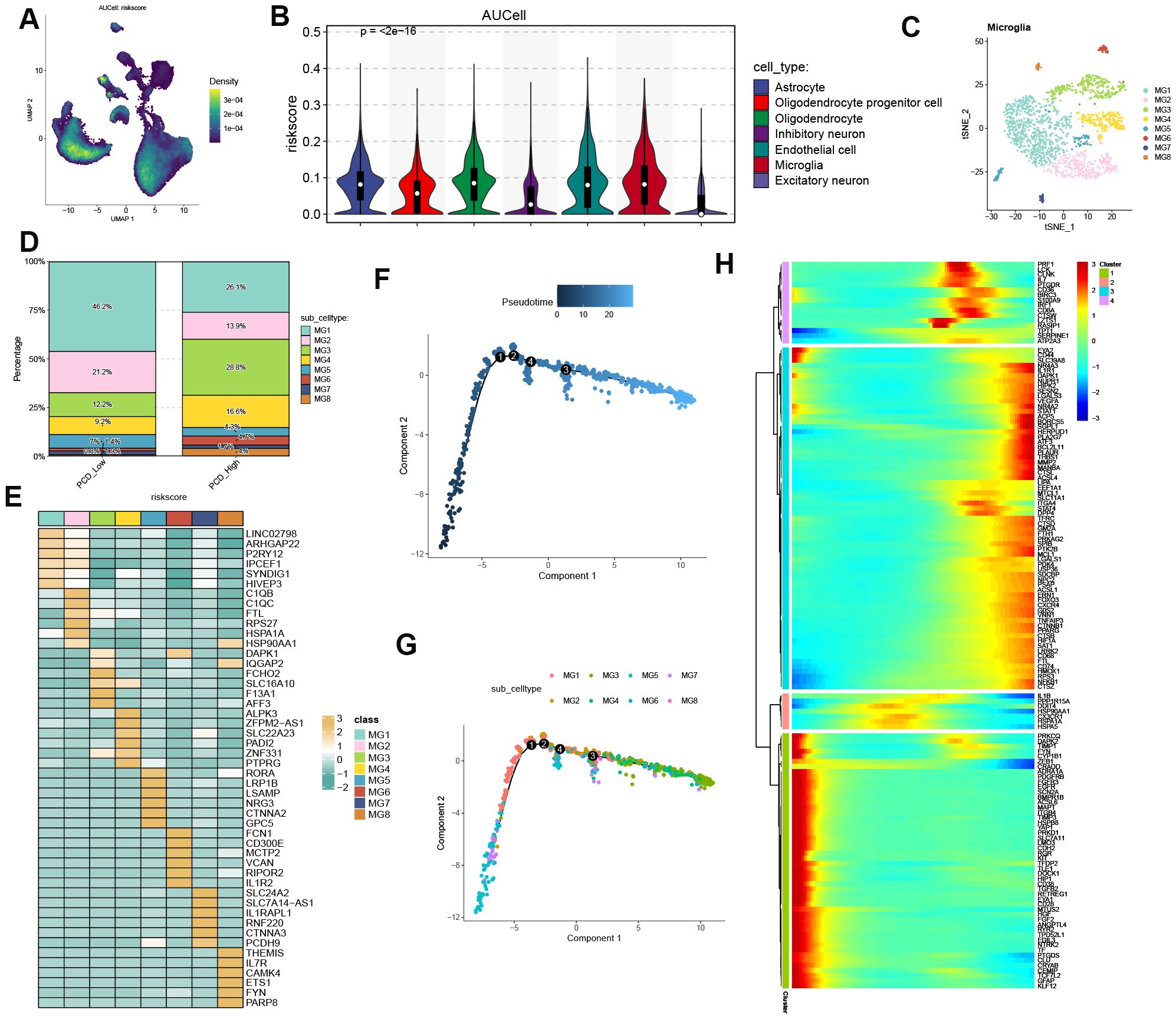 A scientific figure displays multiple data visualizations related to cell types and gene expression. Panel A shows a UMAP plot with density distribution based on AUC score. Panel B features violin plots illustrating risk scores across different cell types. Panel C includes a t-SNE plot of microglial subtypes. Panel D presents a bar chart showing percentages of sub-cell types. Panel E is a heatmap of gene expression linked to risk scores. Panels F and G depict trajectory analyses with pseudotime coloring and sub-cell type differentiation. Panel H contains a heatmap illustrating gene expression across clusters.