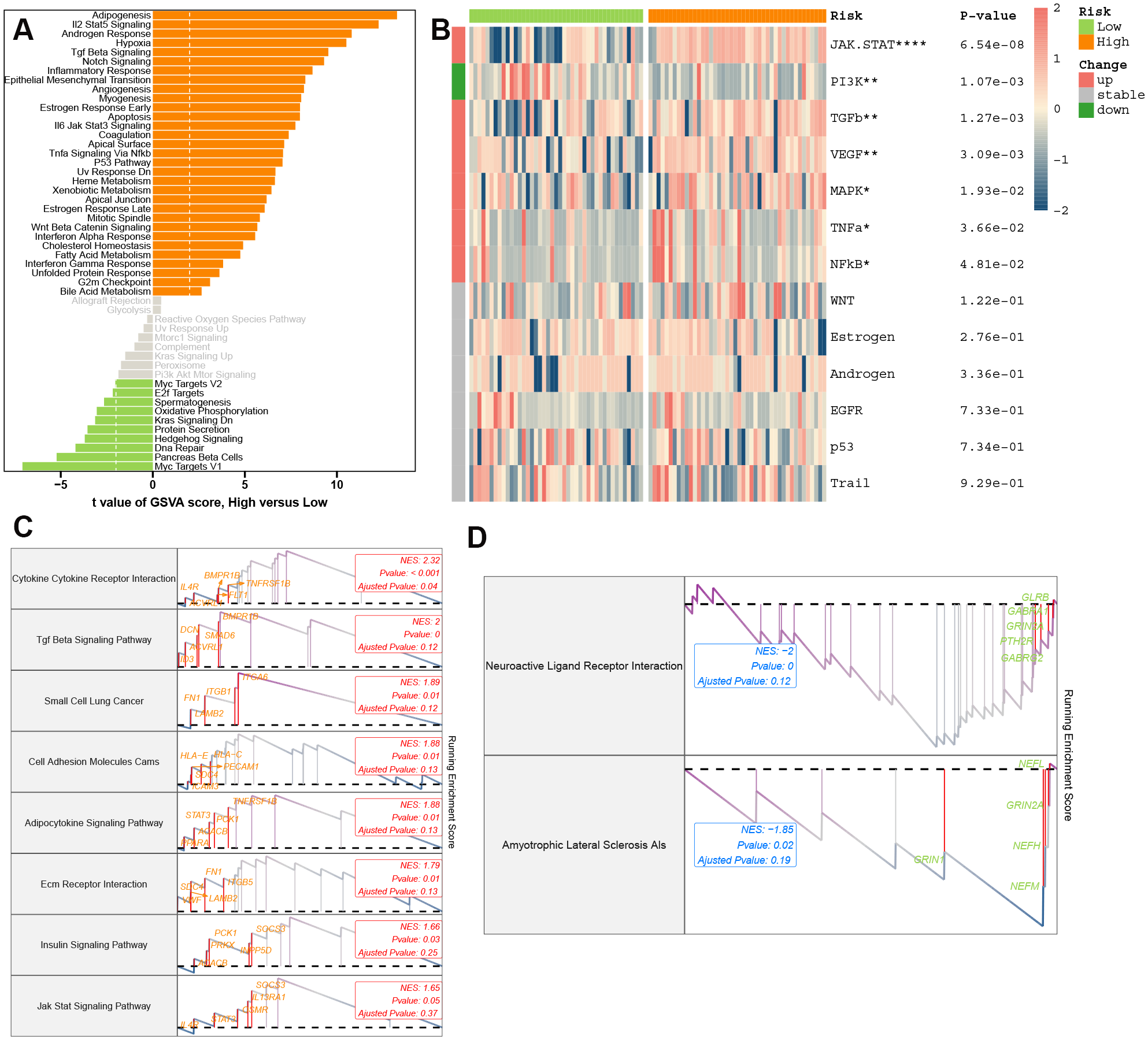 Composite image with four panels detailing gene set variation analysis (GSVA) and pathway analysis: A. Bar chart of GSVA scores showing pathways with high (orange) and low (green) enrichment. B. Heatmap correlating risk with pathways, including JAK-STAT, PI3K, TGF-beta, annotated with risk levels and p-values. C. Line graphs depicting enrichment scores for specific pathways like cytokine receptor and TGF-beta signaling. D. Enrichment plots for neuroactive ligand receptor interaction and amyotrophic lateral sclerosis, displaying running enrichment scores.
