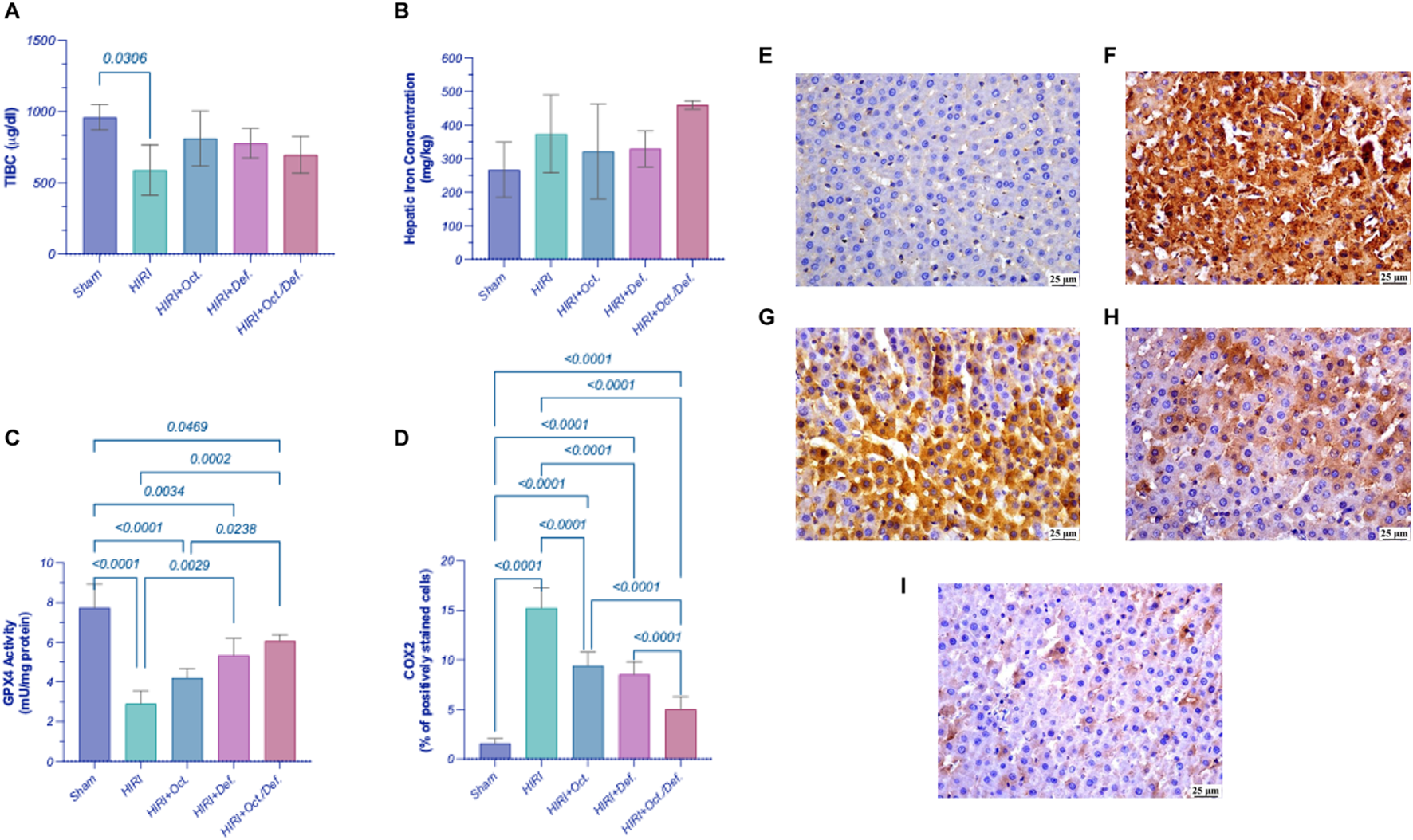 Graphs and micrographs showing liver-related data. Panels A-D are bar graphs: A depicts TIBC levels, B shows hepatic iron concentration, C illustrates GPX4 activity, and D presents COX2 positive cells. Panels E-I are liver tissue micrographs showing varying staining intensities.