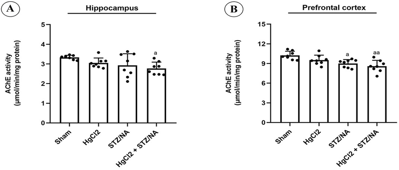 Bar graphs depicting AChE activity in the hippocampus and prefrontal cortex across treatments: Sham, HgCl2, STZ/NA, and HgCl2 + STZ/NA. In the hippocampus, activity is highest in the STZ/NA group, with a significant decrease in the HgCl2 + STZ/NA group. In the prefrontal cortex, activity is similar across Sham and HgCl2, slightly lower in STZ/NA, and significantly lower in HgCl2 + STZ/NA. Error bars represent standard deviation.