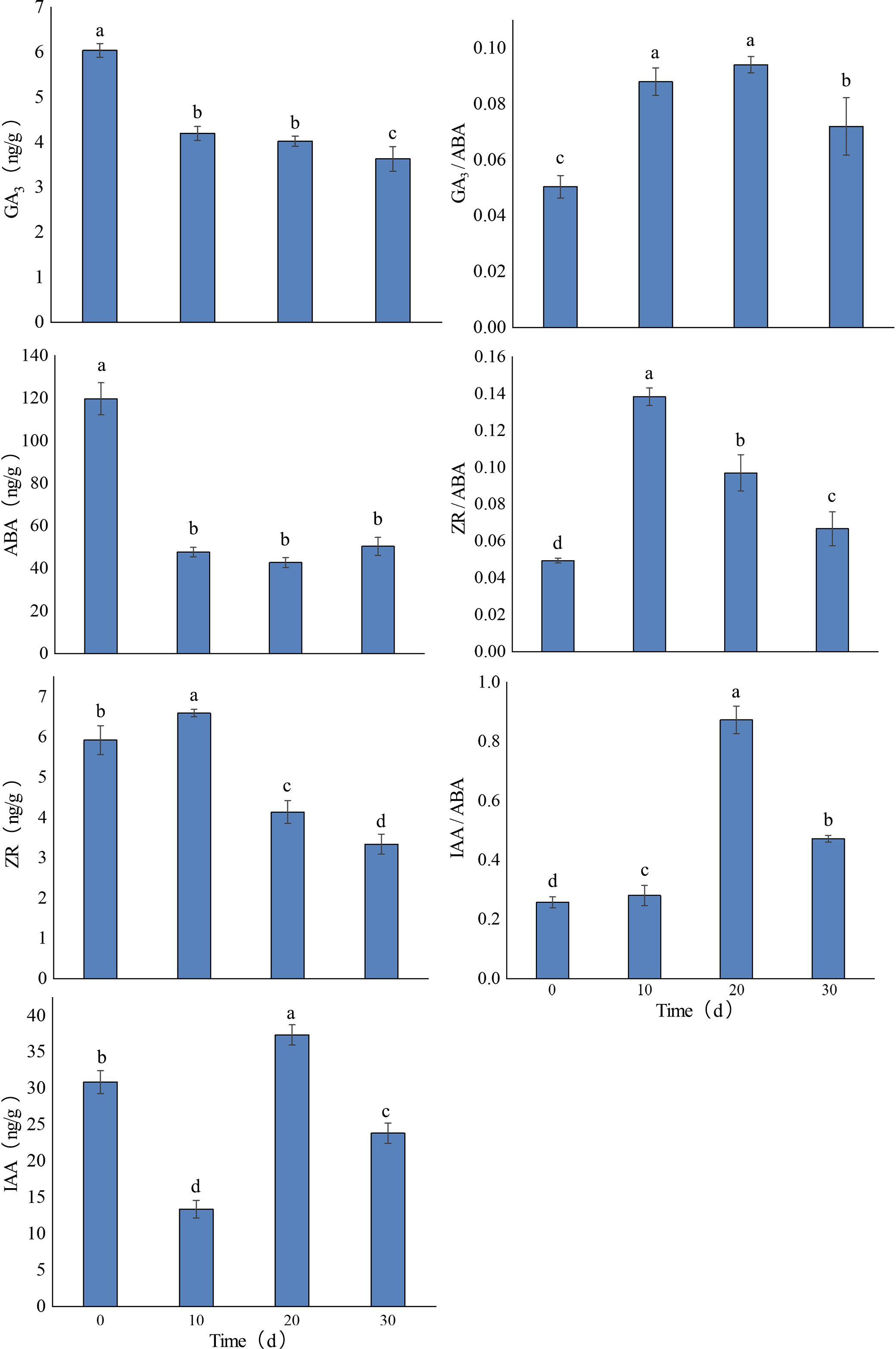 Bar charts showing the levels and ratios of various plant hormones over time. The left column depicts hormone concentrations: GA3, ABA, ZR, and IAA in nanograms per gram, with different time points labeled a to d. The right column shows corresponding hormone ratios: GA3/ABA, ZR/ABA, IAA/ABA, against time in days, with statistical groupings indicated by letters. Error bars represent variability.