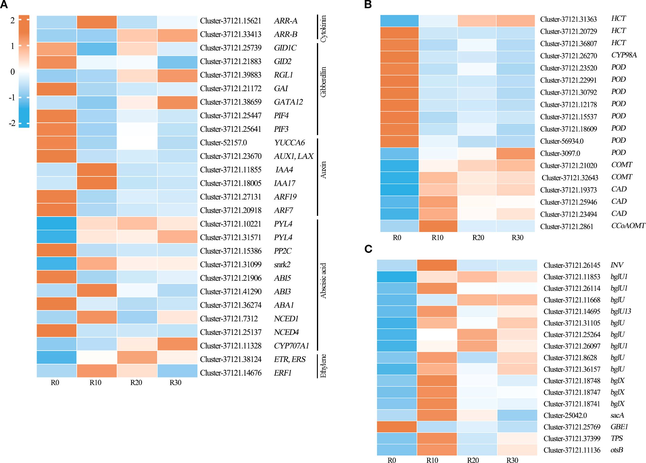 Heatmap showing gene expression levels across three panels labeled A, B, and C, with columns R0, R10, R20, R30. Rows represent different genes within hormone response categories: cytokinin, gibberellin, auxin, abscisic acid, ethylene. Color gradient ranges from blue (low expression) to orange (high expression).