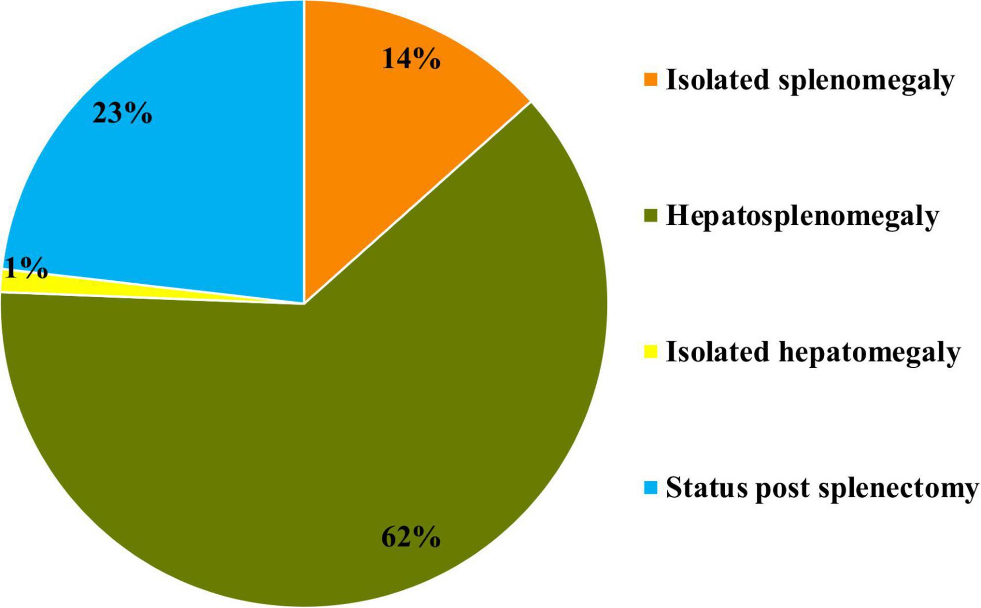 Pie chart showing the prevalence of hepatomegaly and splenomegaly at the time of initial diagnosis in patients with type 1 Gaucher disease. Hepatosplenomegaly at 62%, Status post splenectomy at 23%, Isolated splenomegaly at 14%, and Isolated hepatomegaly at 1%.
