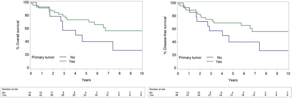 Two Kaplan-Meier survival curves compare patients with and without primary tumors over ten years. The left plot shows overall survival, and the right shows disease-free survival. In both plots, the green line represents patients with a primary tumor and the blue line represents those without. Survival is higher for patients with a primary tumor in both outcomes. Tables below the plots list the number of patients at risk over time for each group.