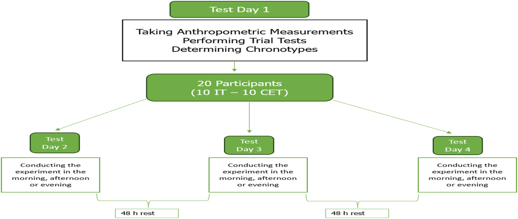 Flowchart showing a study with twenty participants, split into two groups of ten. On Test Day 1, anthropometric measurements and chronotypes are determined. On Test Days 2, 3, and 4, experiments are conducted at different times, followed by forty-eight hours of rest.