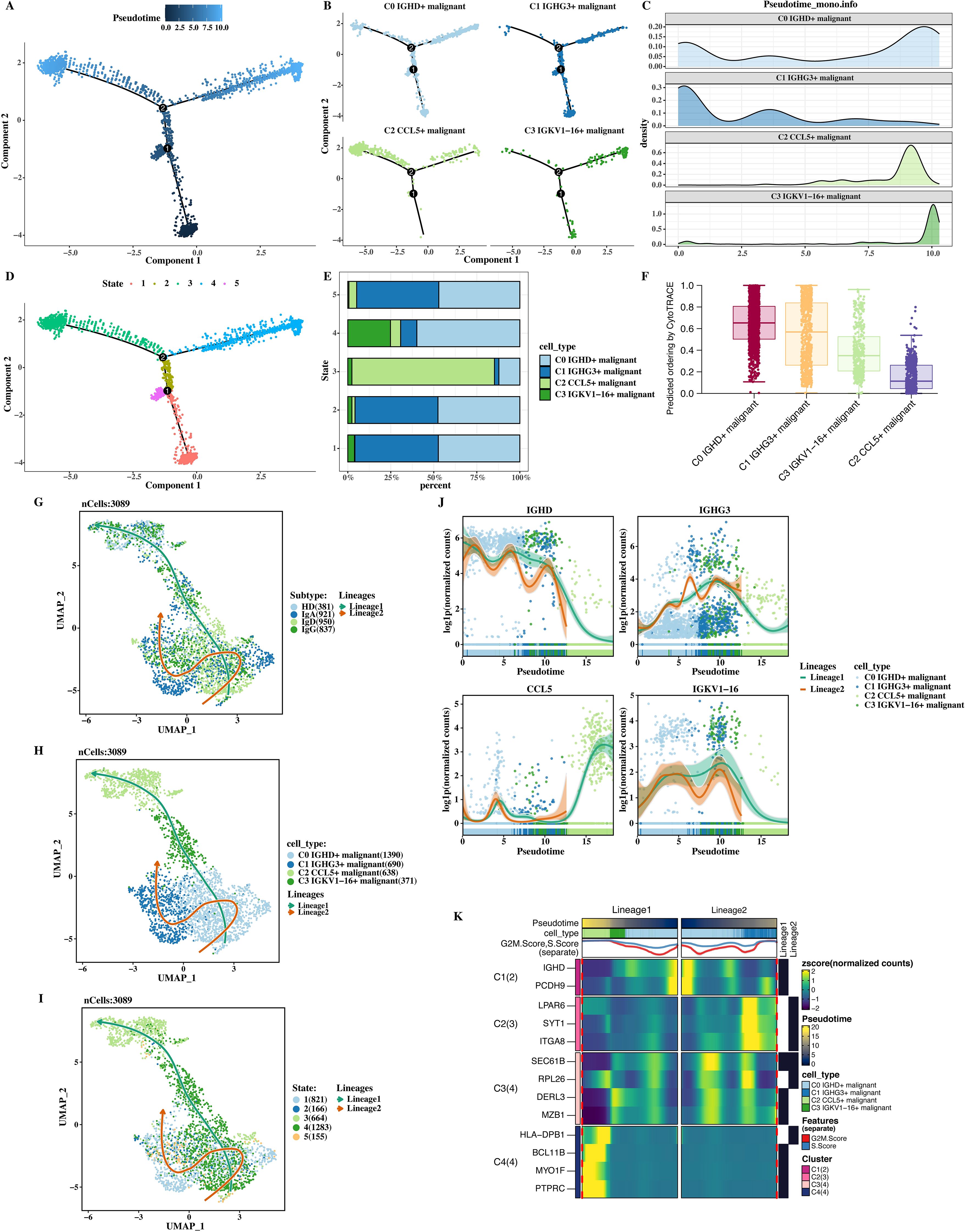The image contains multiple panels showing data visualizations related to malignant cell types. Panel A and B display pseudotime trajectories with component axes. Panel C presents density plots for four cell types. Panel D illustrates a trajectory colored by state, and Panel E shows bar charts of cell type distribution by state. Panel F includes box plots of percentage percentages. Panels G, H, and I depict UMAP plots with cell type and lineage annotation. Panel J shows line graphs of gene expression over pseudotime. Panel K is a heatmap illustrating gene expression across lineages.