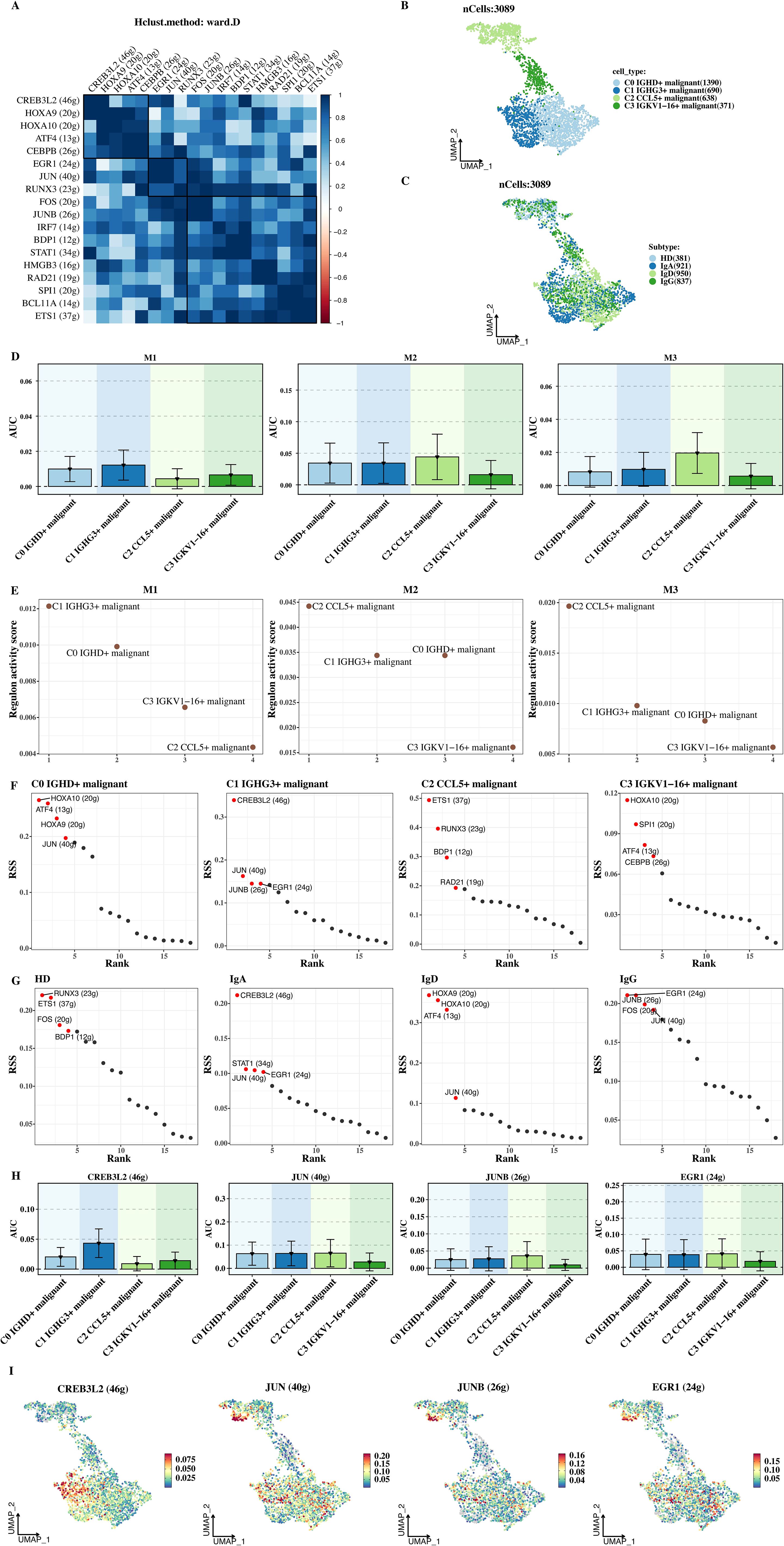 The image consists of multiple panels showing various data visualizations related to cell analysis. Panel A displays a heatmap with hierarchical clustering. Panels B and C show UMAP plots indicating cell types and subtypes, respectively. Panels D and H include bar graphs with AUC values for different malignant cell types. Panels E and F feature scatter plots of region activity scores and RSS values for gene expression. Panel G contains scatter plots highlighting RSS ranks. Panel I presents UMAP plots for specific genes with corresponding intensity color scales. The visualizations collectively represent analysis across thousands of cells.