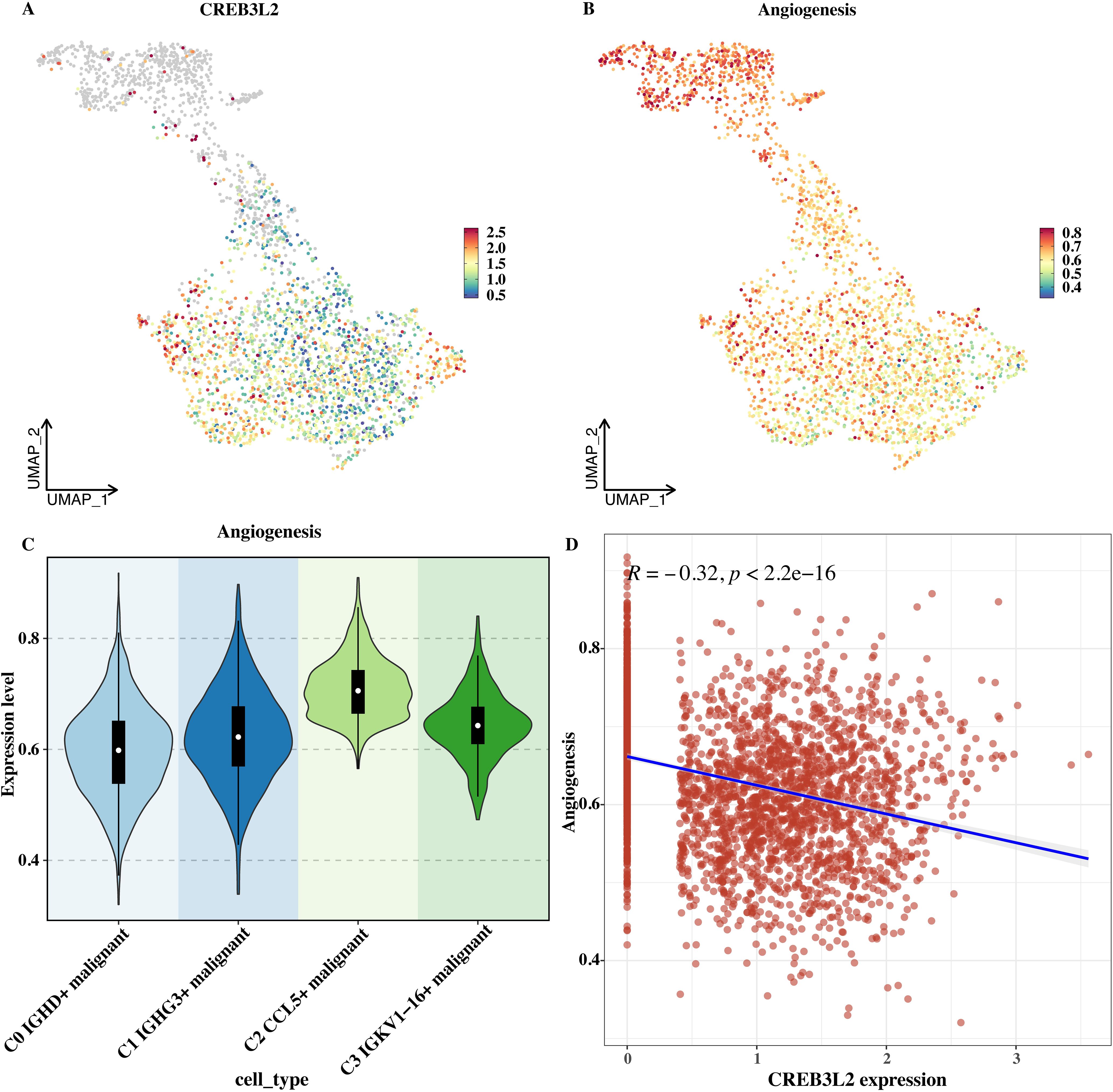 Panel A shows a UMAP plot illustrating CREB3L2 expression, with colors ranging from gray to red indicating expression levels. Panel B displays a UMAP plot for angiogenesis expression with colors from gray to dark red. Panel C presents a violin plot of angiogenesis expression levels across four cell types: C0, C1, C2, and C3. Panel D depicts a scatter plot and regression line, showing a negative correlation between CREB3L2 expression and angiogenesis, with R = -0.32 and p < 2.2e-16.