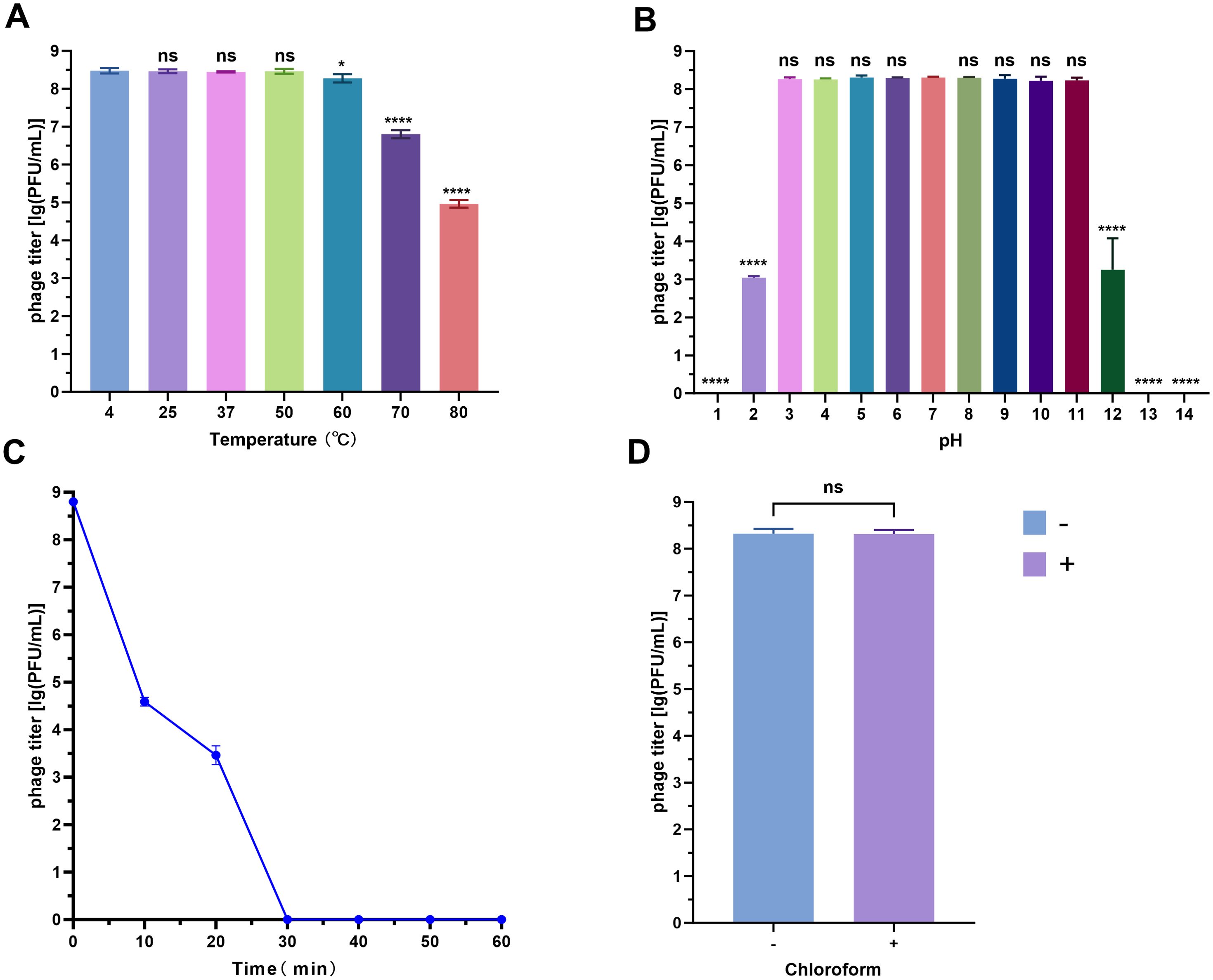 Chart displaying the effects of various conditions on phage titer. Panel A shows phage stability at temperatures from 4°C to 80°C, with a significant reduction at 60°C and above. Panel B presents phage stability across pH levels from 1 to 14, with significant drops at extreme pH values. Panel C depicts a line graph indicating a sharp decrease in phage titer over 60 minutes. Panel D compares phage stability with and without chloroform, showing no significant difference. Bars and lines are color-coded, with annotations indicating significance levels.