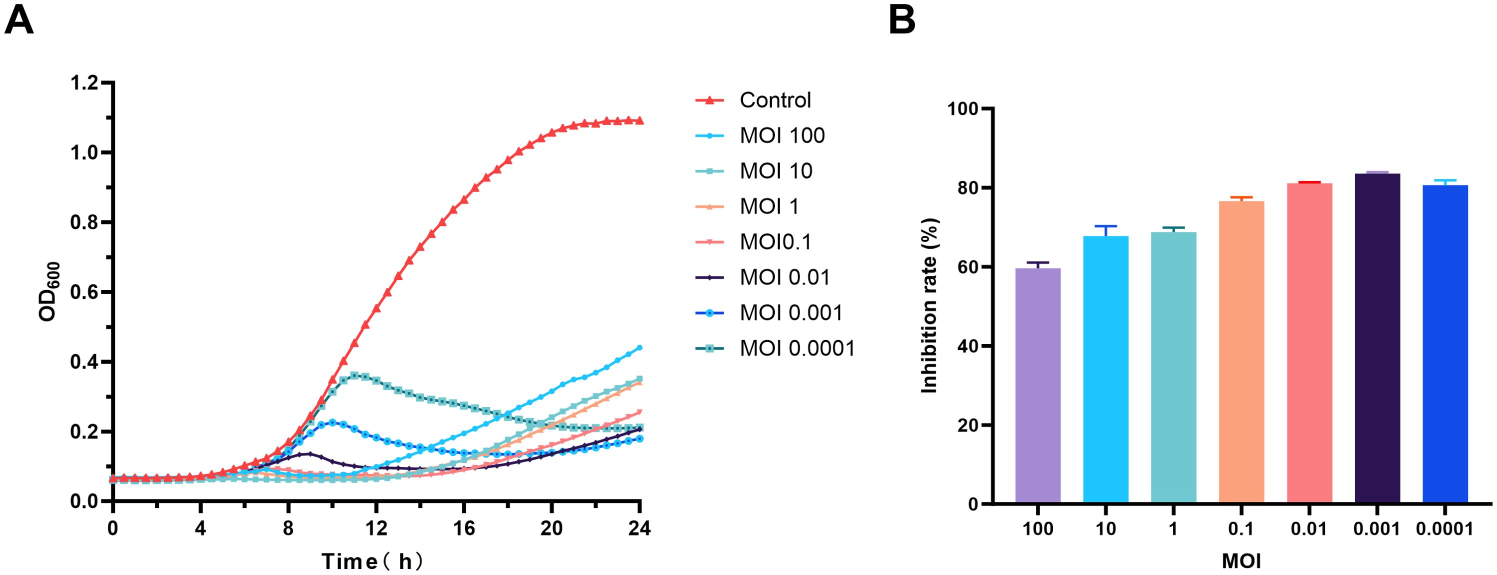 Panel A shows a growth curve with optical density (OD₆₀₀) over 24 hours for control and varying MOIs. The control line shows the highest growth. Panel B presents a bar chart of inhibition rates, with increasing MOI values showing higher inhibition percentages.