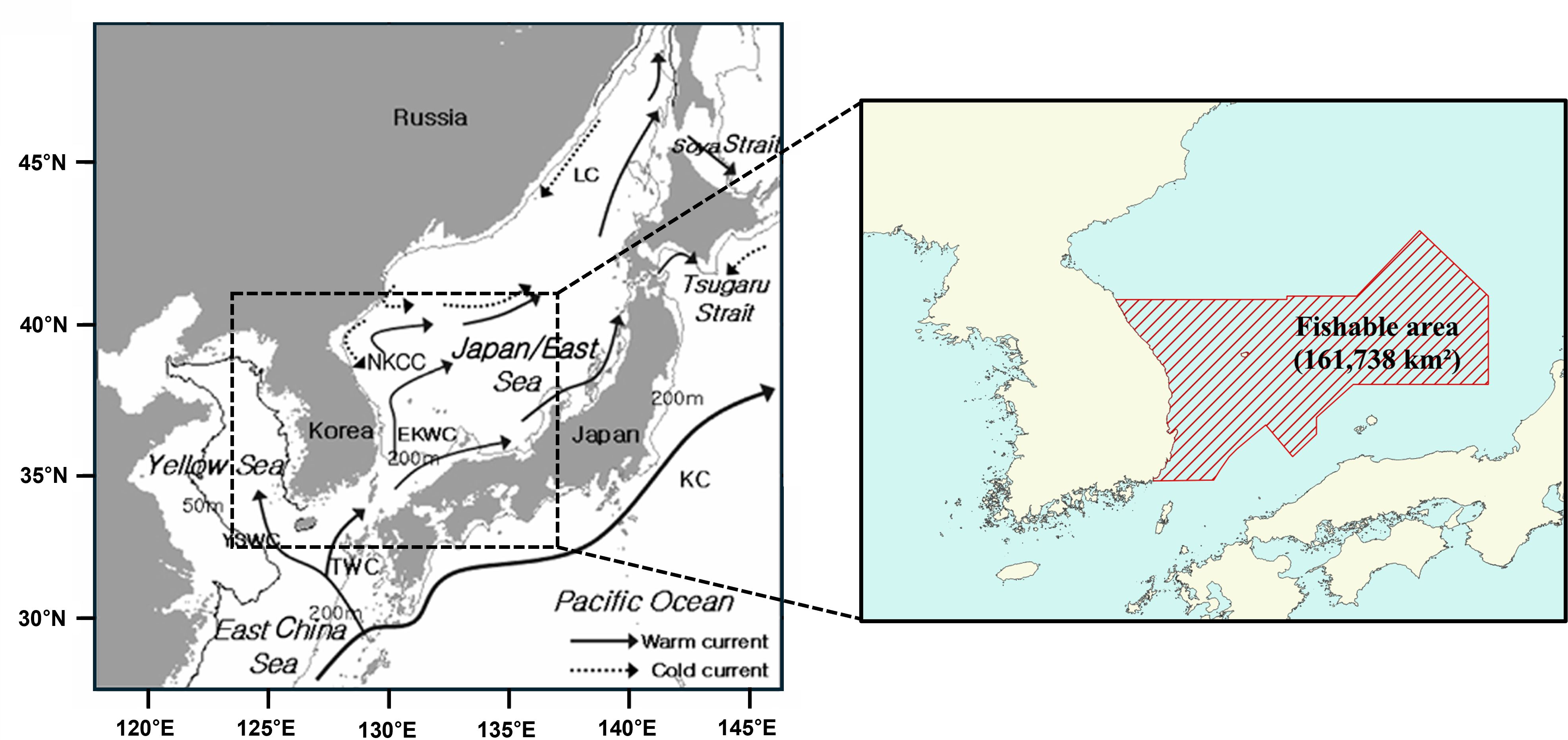 Map showing geography and current system around the Korean Peninsula and the fishable area (161,738 km²) in the eastern Korean EEZ designated as the analysis domain in this study.