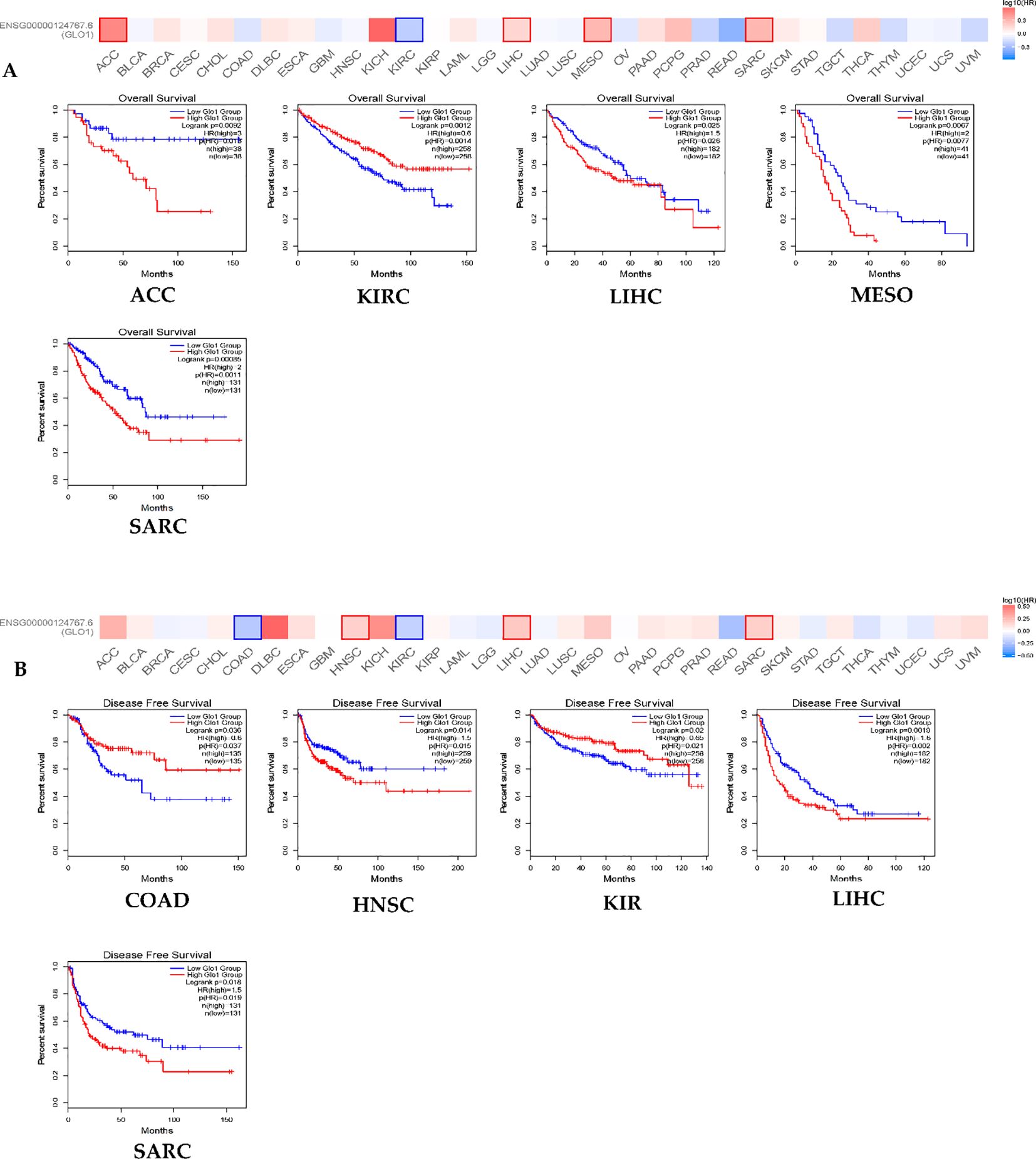 Panel A shows Kaplan-Meier survival curves for overall survival across different cancer types: ACC, KIRC, LIHC, MESO, and SARC. Panel B depicts disease-free survival curves for COAD, HNSC, KIR, LIHC, and SARC. Each chart compares high and low expression groups, with log-rank p-values indicating statistical significance. Both panels include a heat map at the top, displaying expression levels across various cancer types.