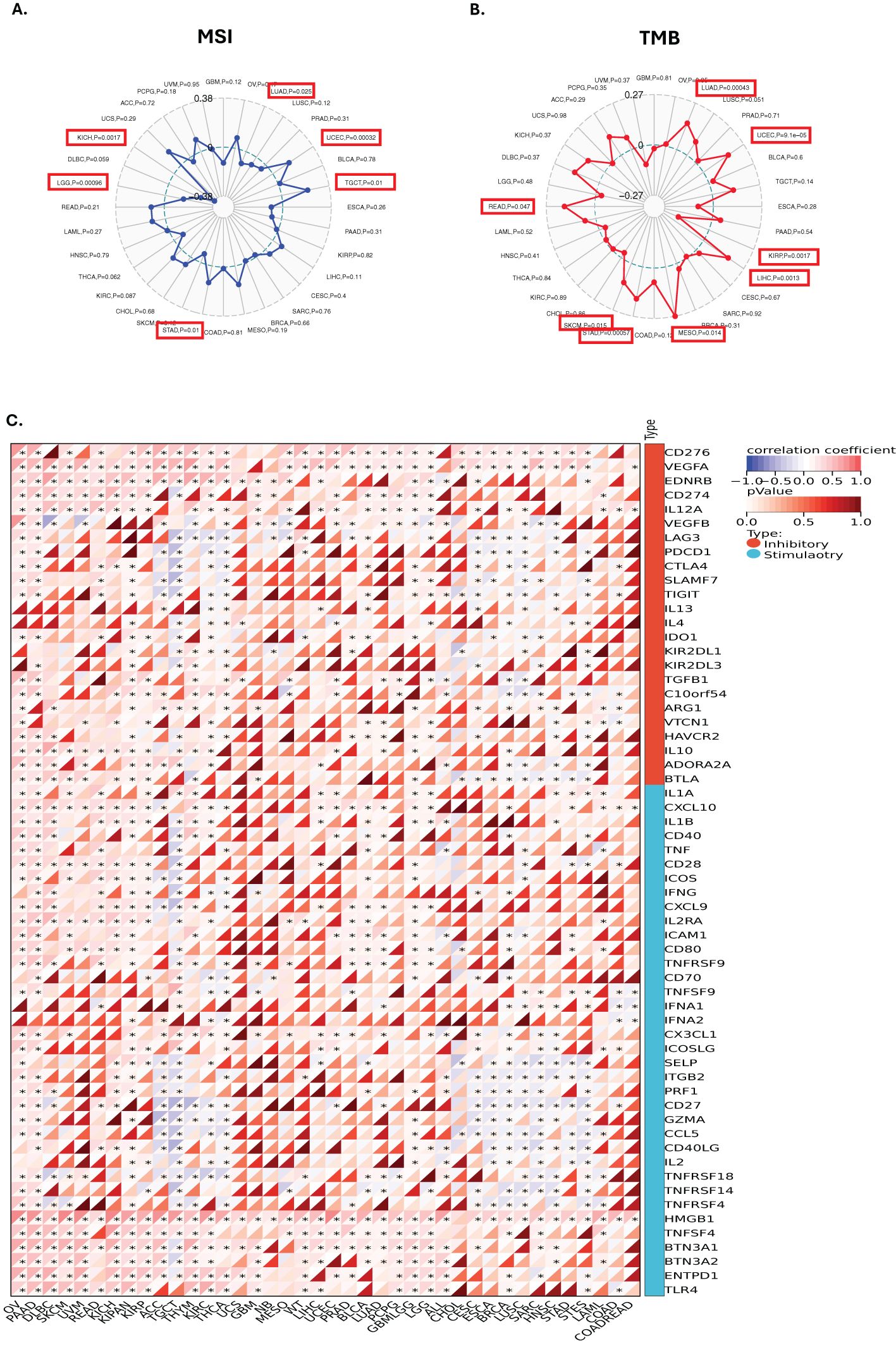 Radar charts A and B show gene expression data for MSI and TMB, highlighting genes with significant p-values in bold red. Chart C displays a correlation matrix of gene expressions, with colored triangles indicating correlation strengths and significance, accompanied by a color scale for correlation coefficients and a legend for inhibitory and stimulatory types.