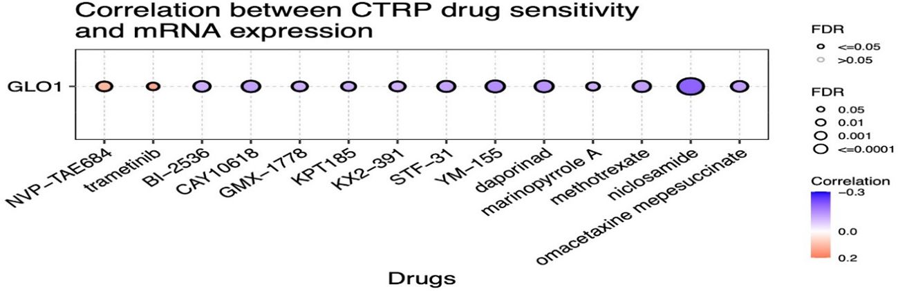 Bubble plot showing the correlation between CTRP drug sensitivity and GLO1 mRNA expression. Each bubble represents a drug, with size indicating the false discovery rate (FDR) and color showing the correlation strength. Larger bubbles denote lower FDR values. Drugs like “omacetaxine” and “mepepsuccinate” show notable correlations, depicted with color gradients from blue (negative) to red (positive).