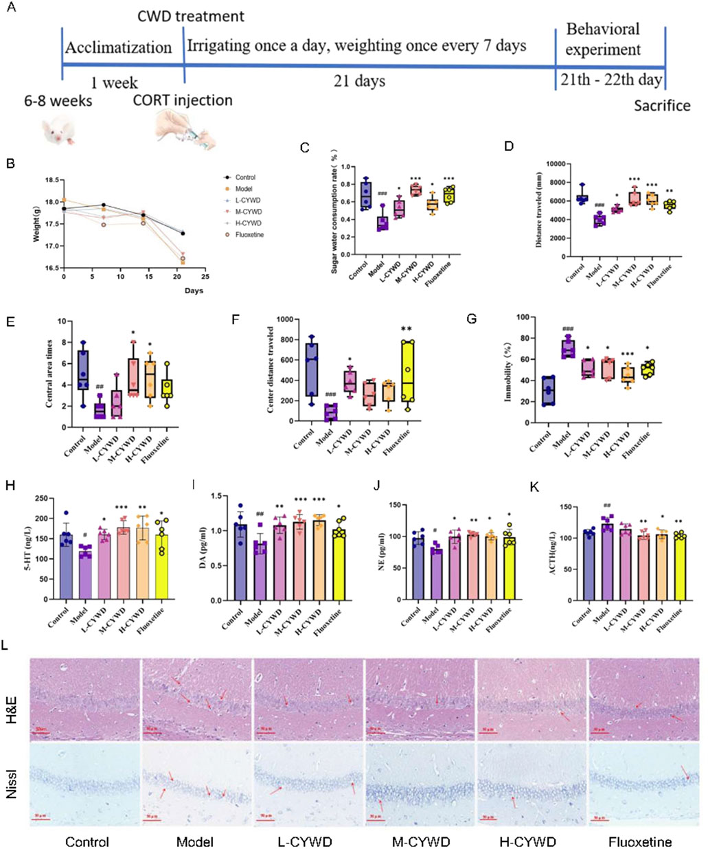 Diagram illustrating an experimental timeline of CWD treatment over eight weeks, detailing acclimatization and behavioral tests. Graphs display experimental data including weight, sugar-water consumption, distance traveled, and various biochemical markers across different treatment groups. Histological images show tissue samples stained with H&E and Nissl methods, comparing the control, model, L-CYWD, M-CYWD, H-CYWD, and fluoxetine groups.